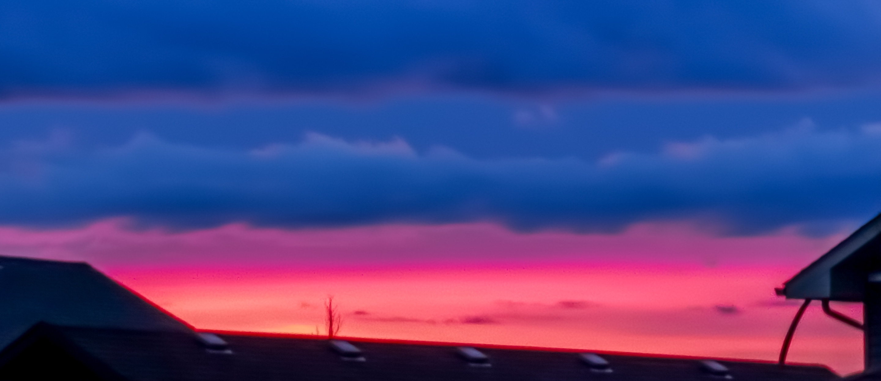 38CEBECC-01CB-4075-8593-1C12468AE5D3.jpeg