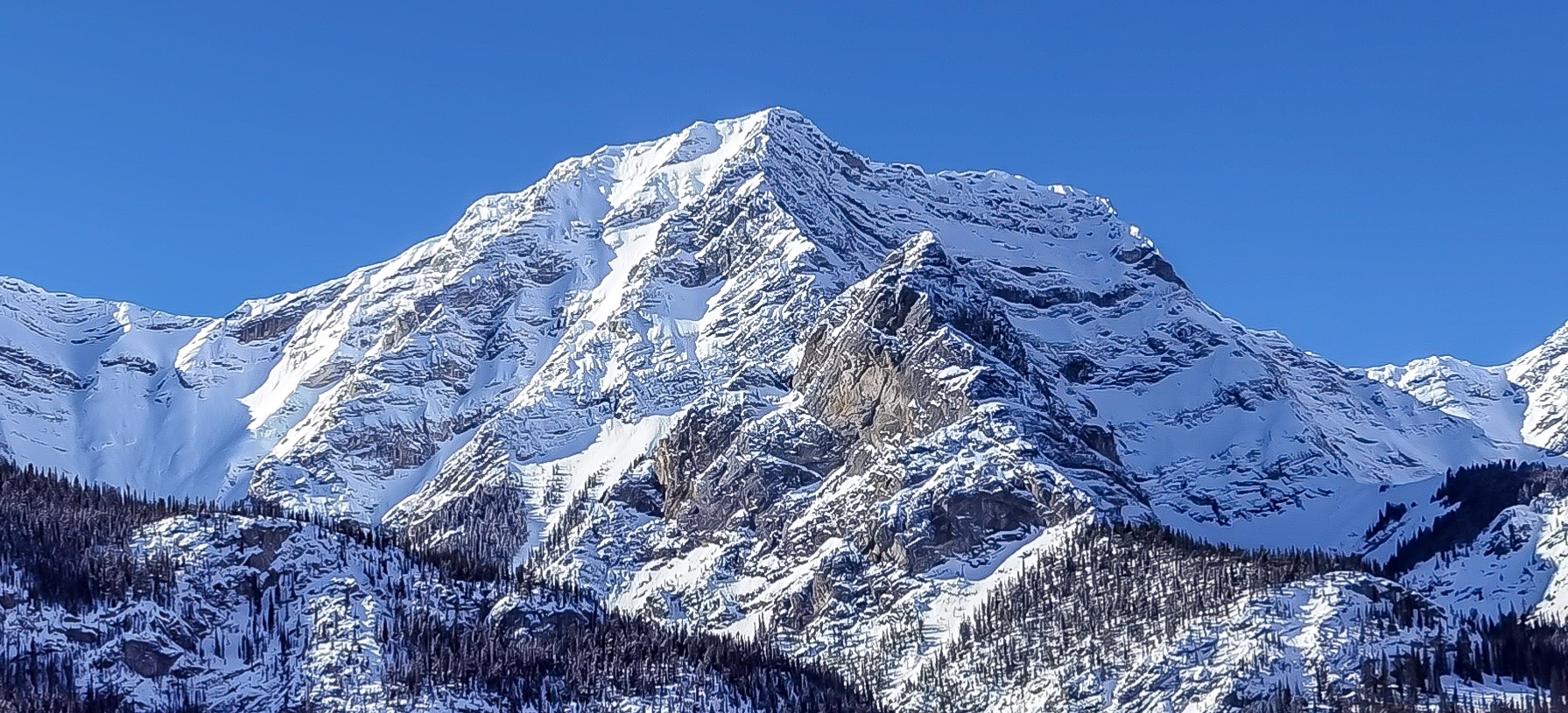 03B6630A-7C00-47DF-86D1-3549A2F9CE5A.jpeg