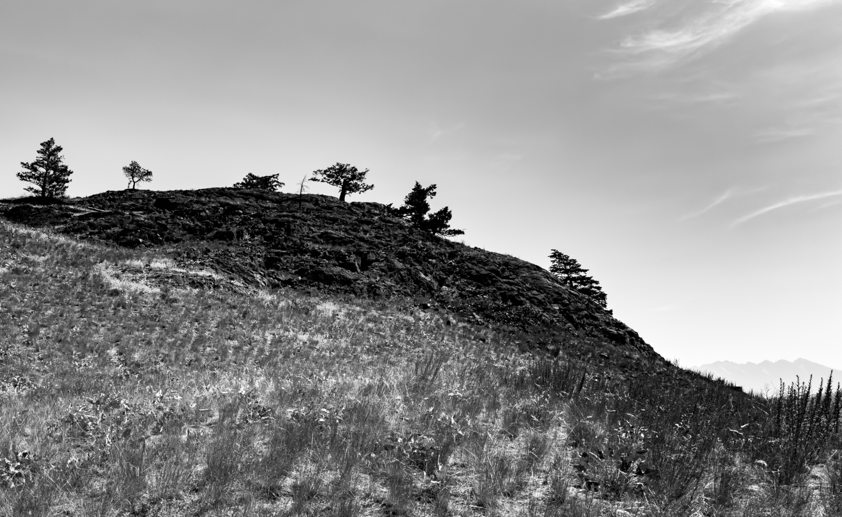 IMG_0449.jpeg