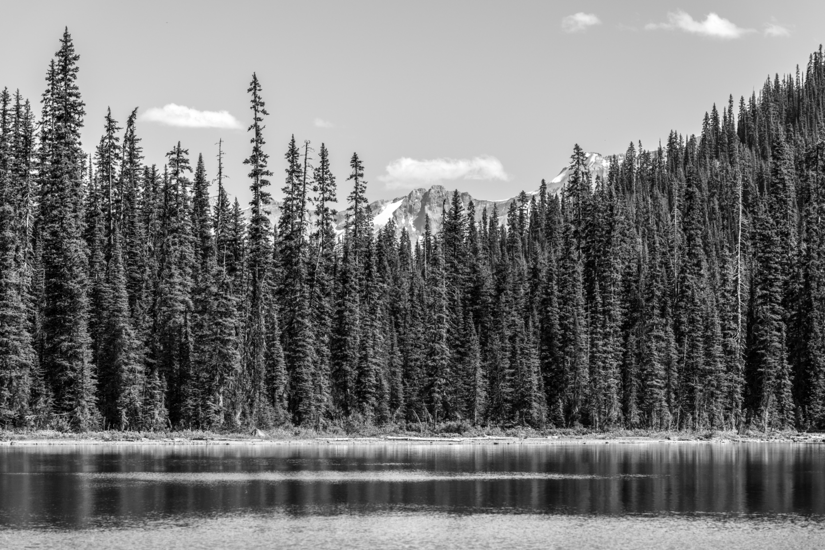 00C49424-065A-43A9-8185-D2E92AC74015.jpeg