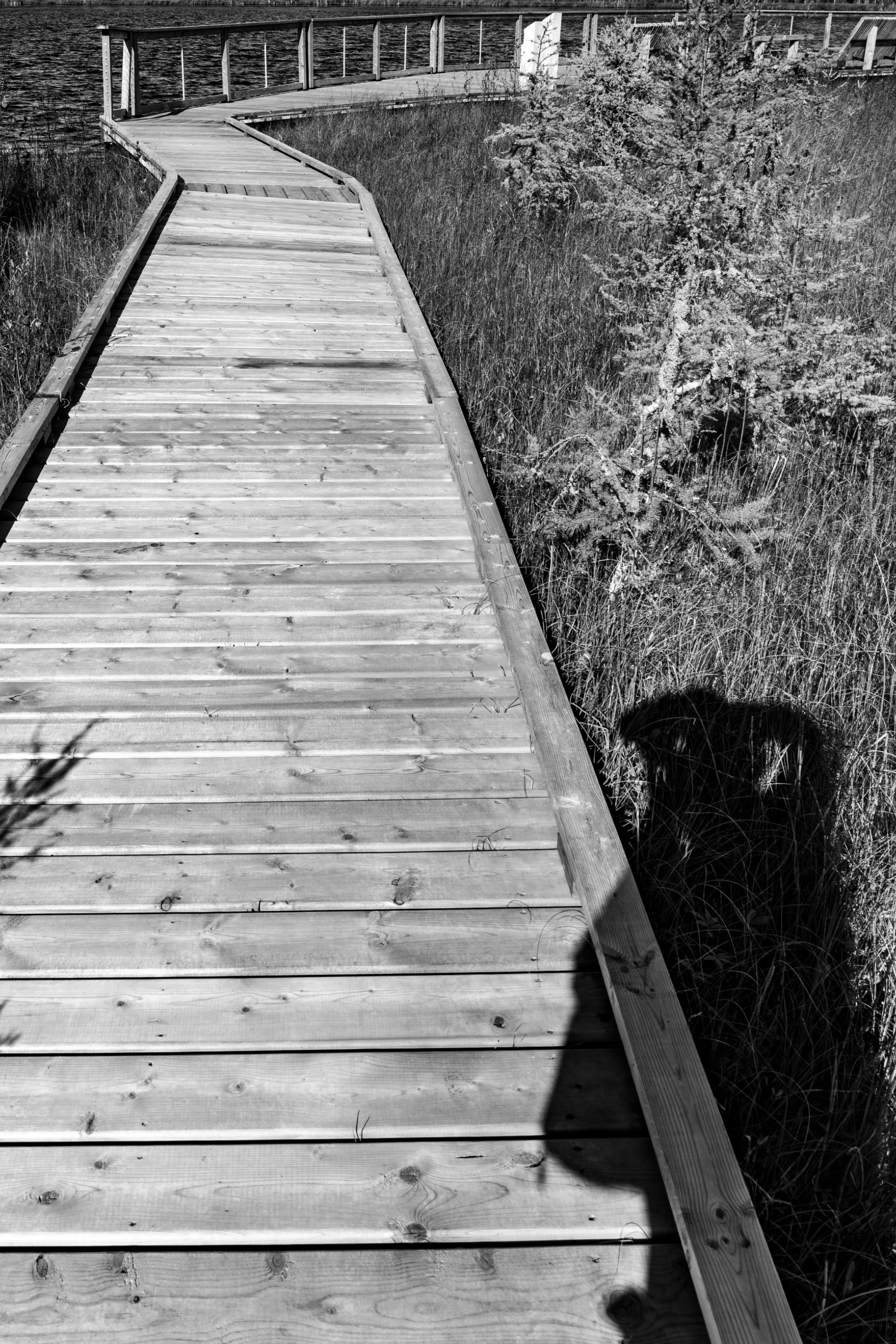 DSC08710.jpeg