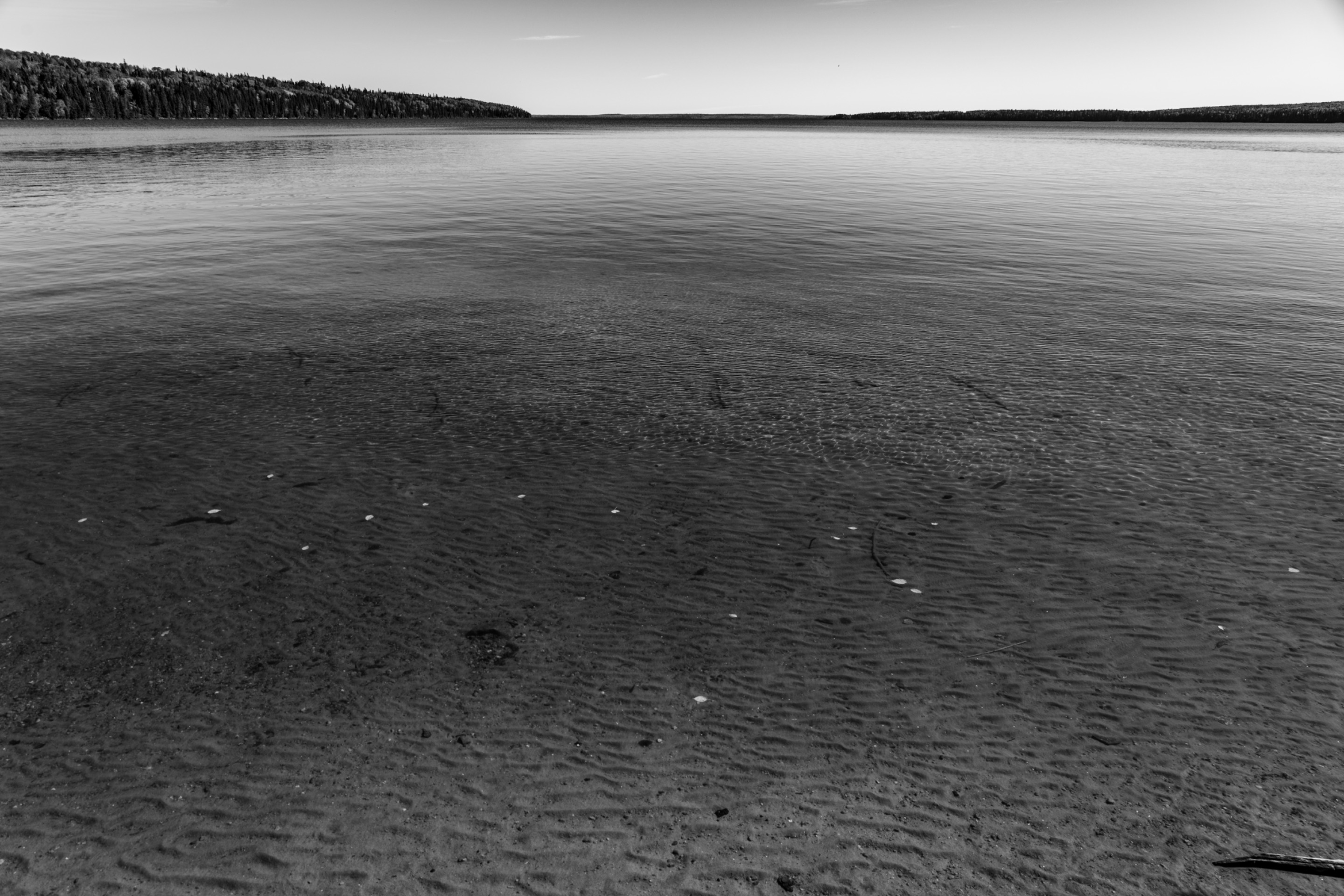 DSC08669.jpeg