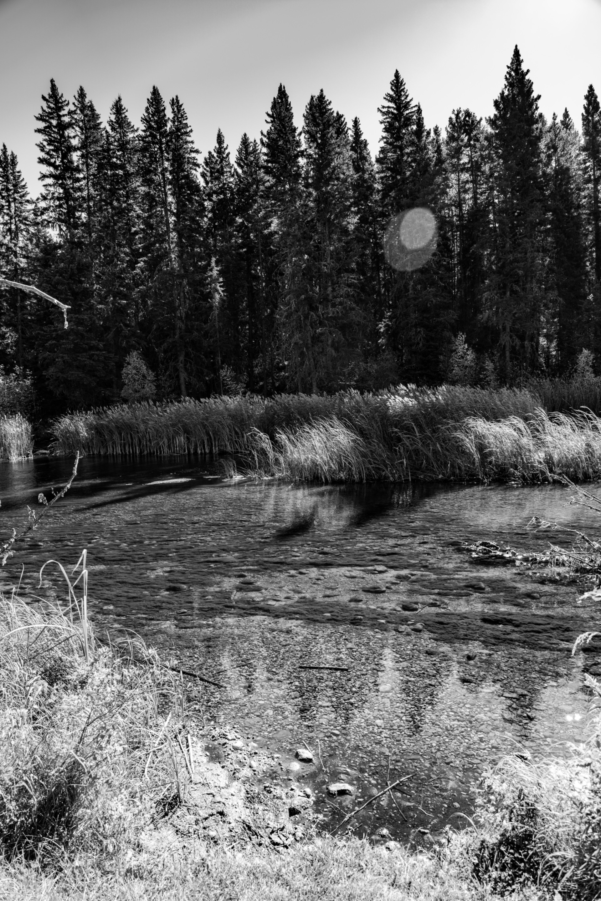 DSC08650.jpeg
