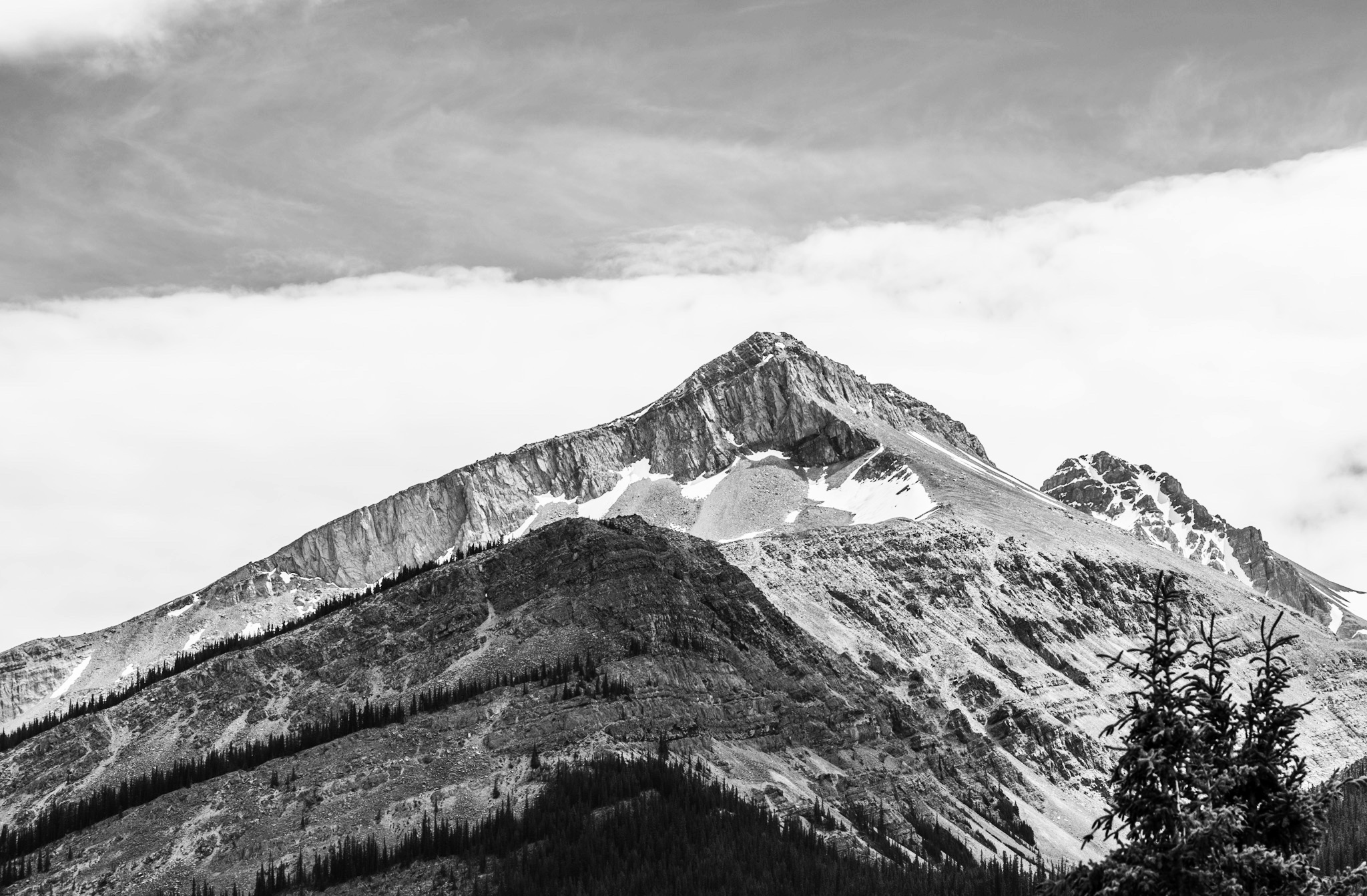 D0D94382-68CA-466E-8695-8102C5D61253.jpeg