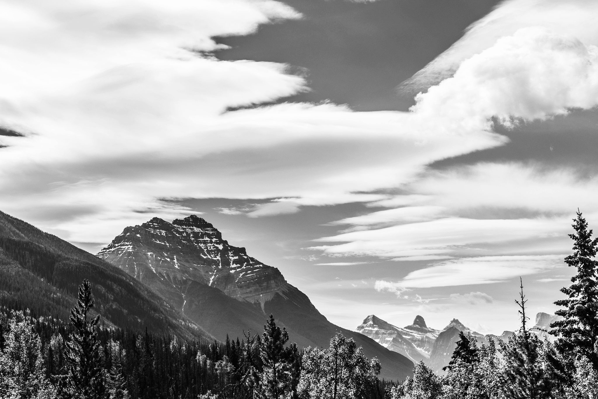 718C3837-968F-41D2-BB8A-7C20405B7B7F.jpeg