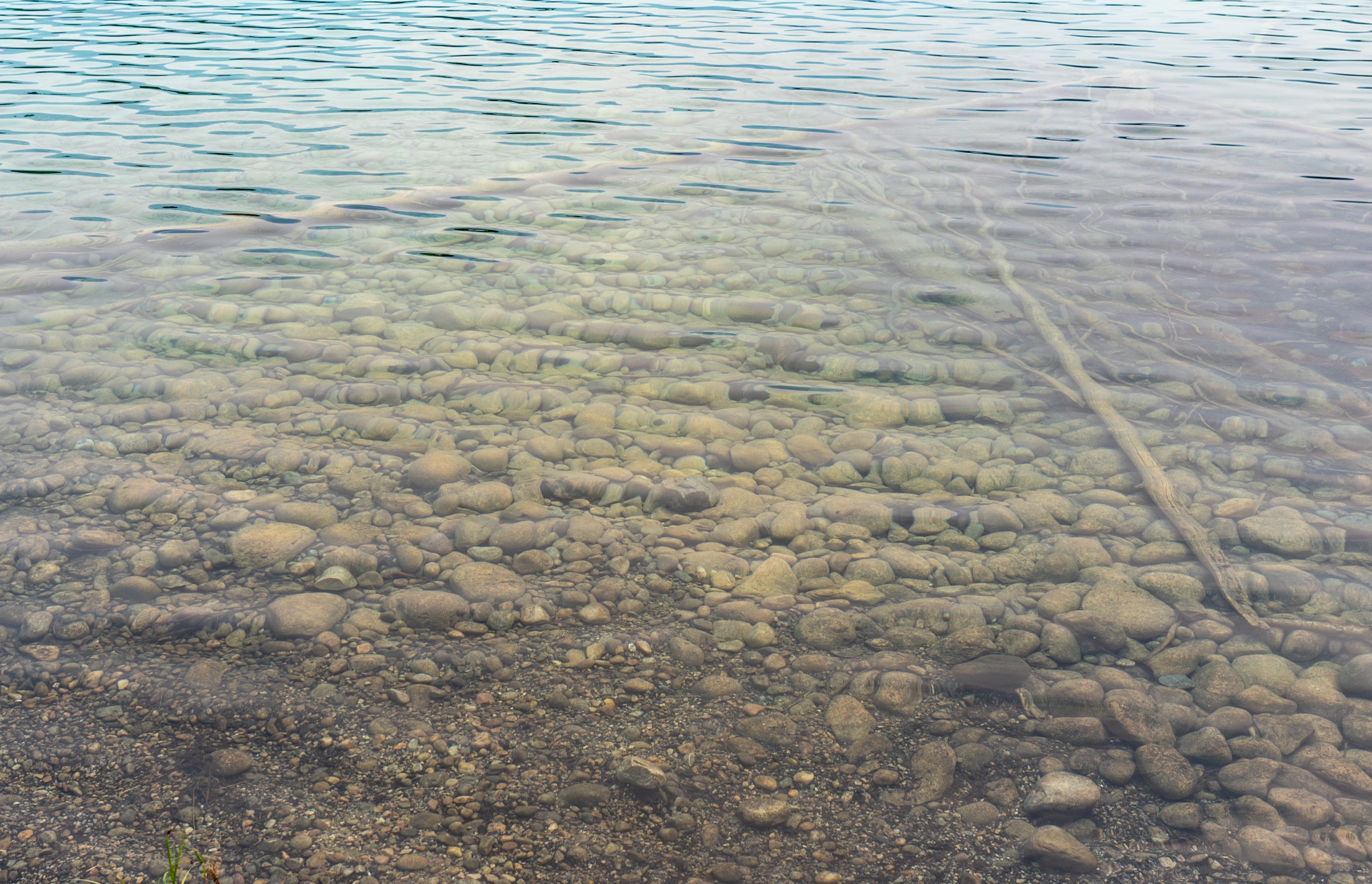 DSC06513.jpeg