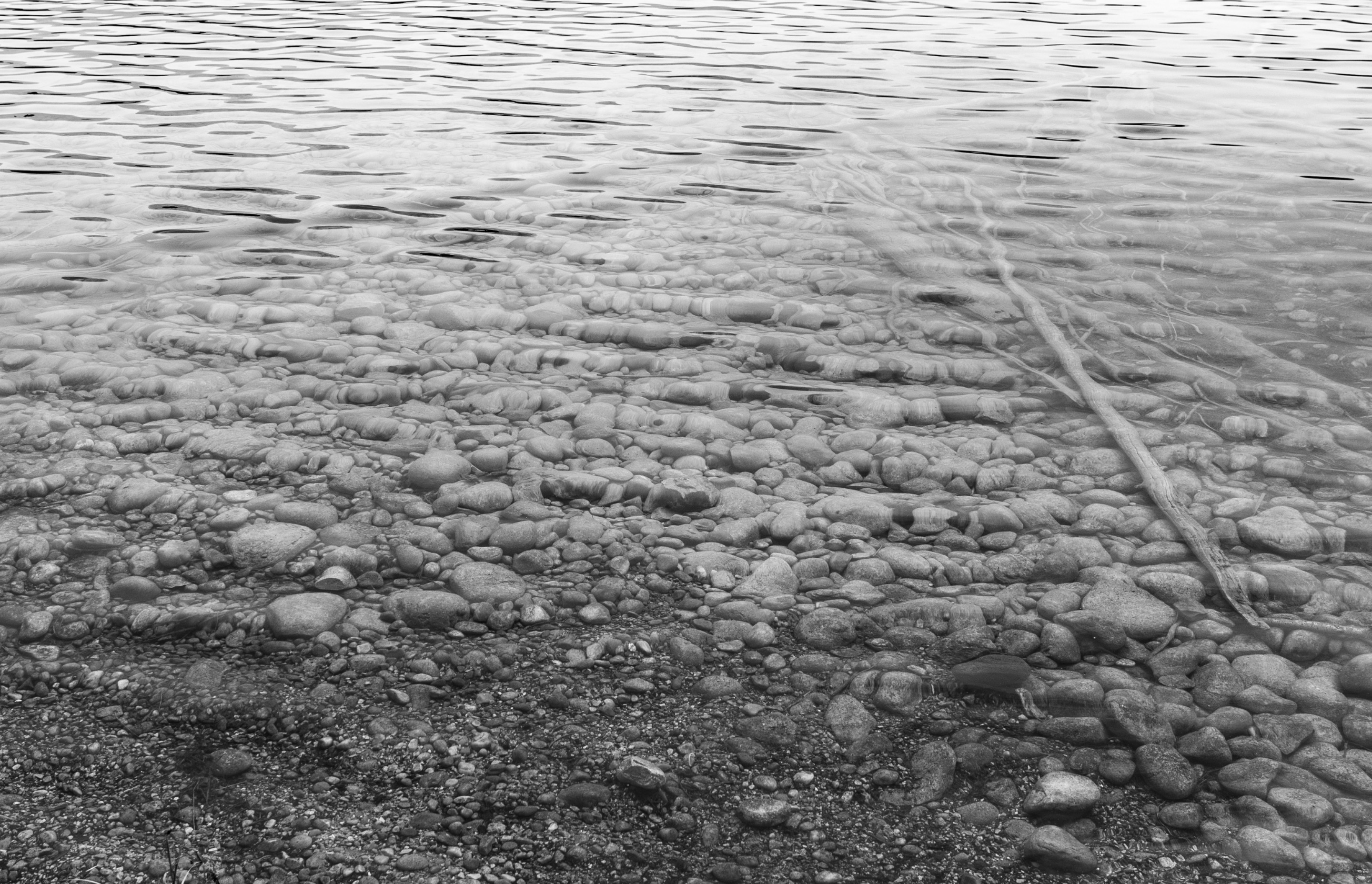 DSC06513.jpeg