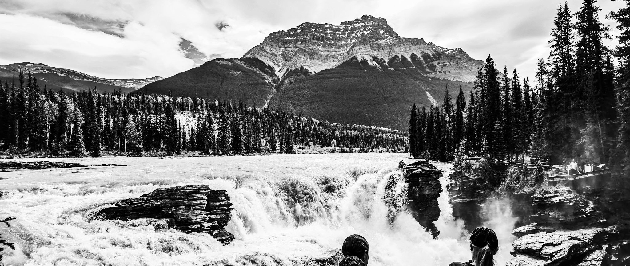 35E89C72-6E5B-44EF-8757-BAF611840FF8.jpeg