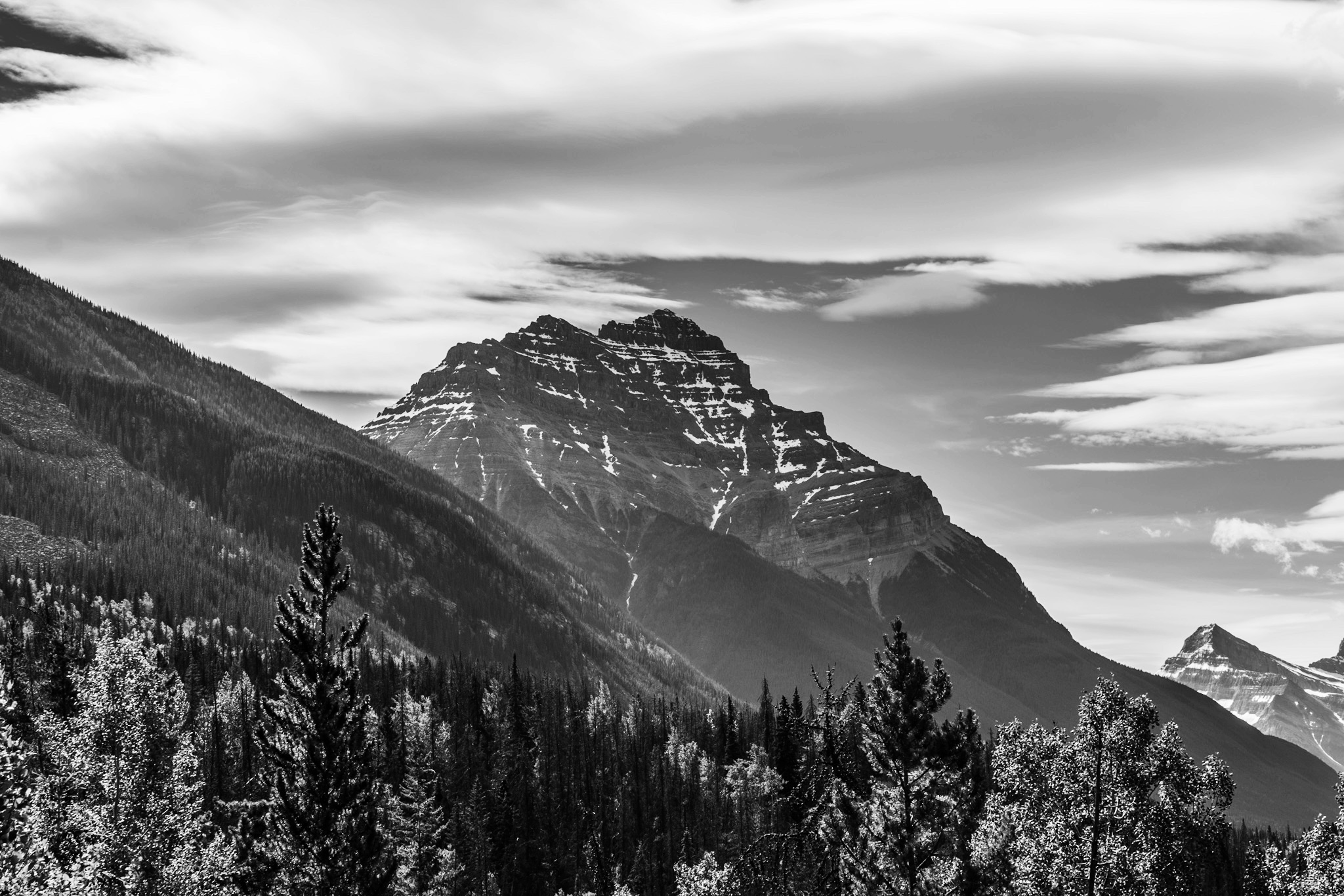 19217333-978A-4D0E-8249-C5C0C13142B9.jpeg