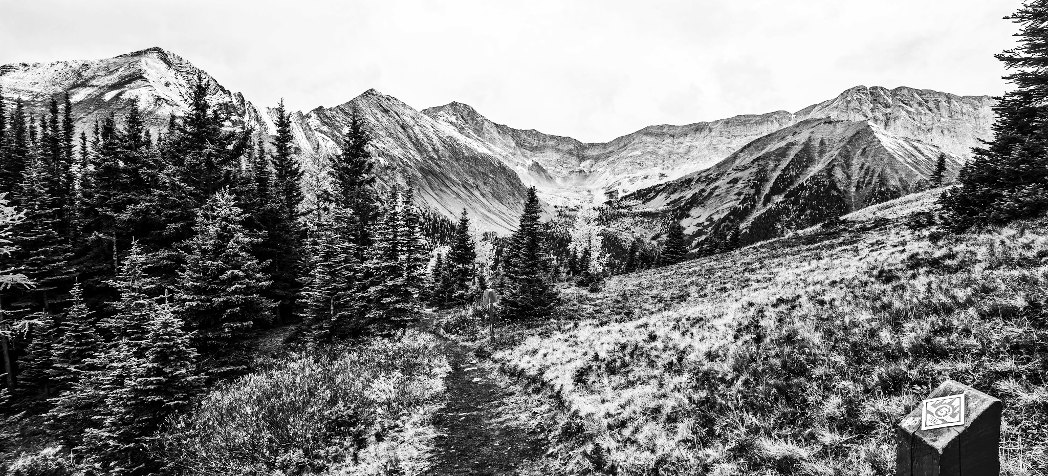IMG_6287.jpeg
