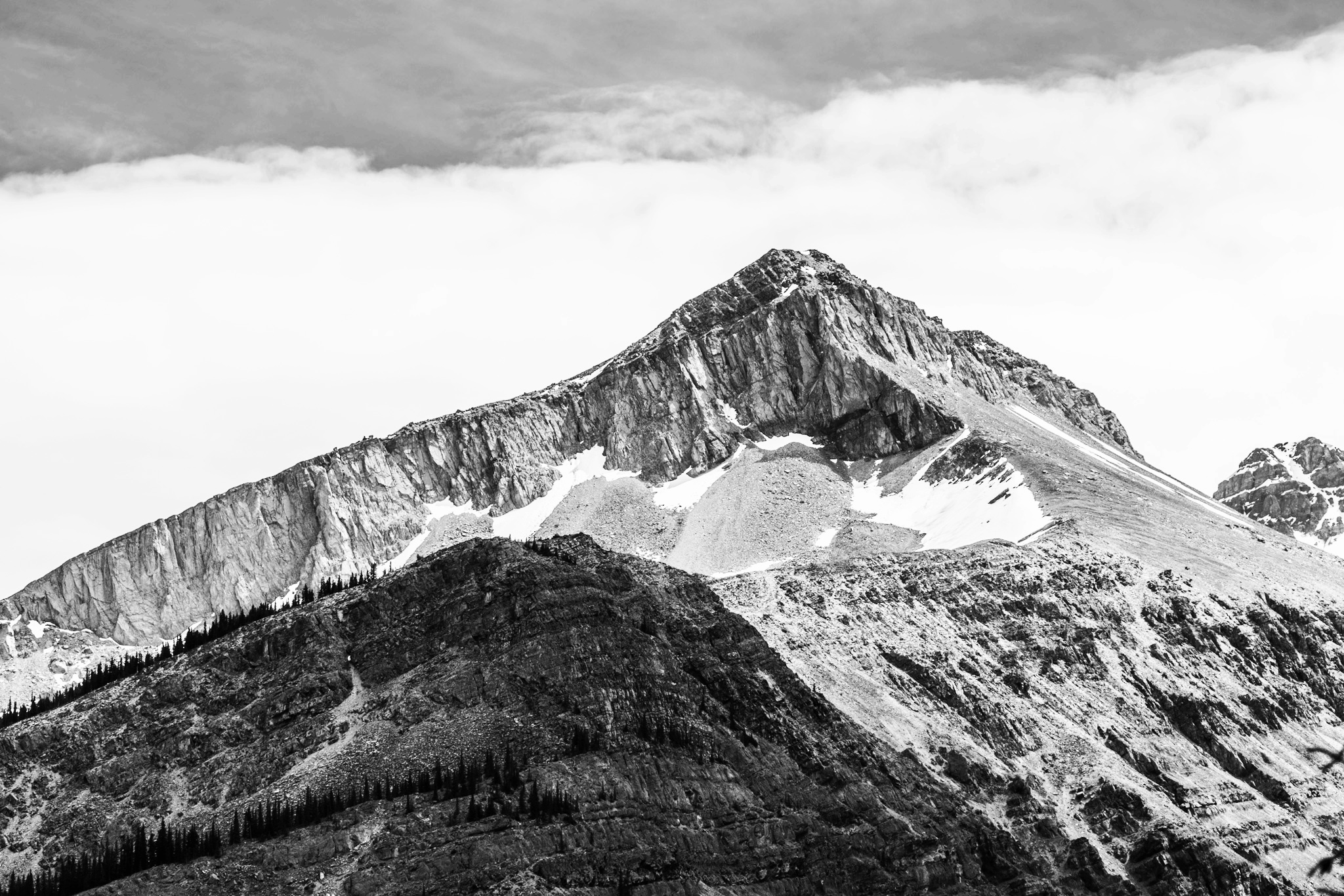 D9A236B0-0579-4E04-A92C-8EE9B13A88C3.jpeg