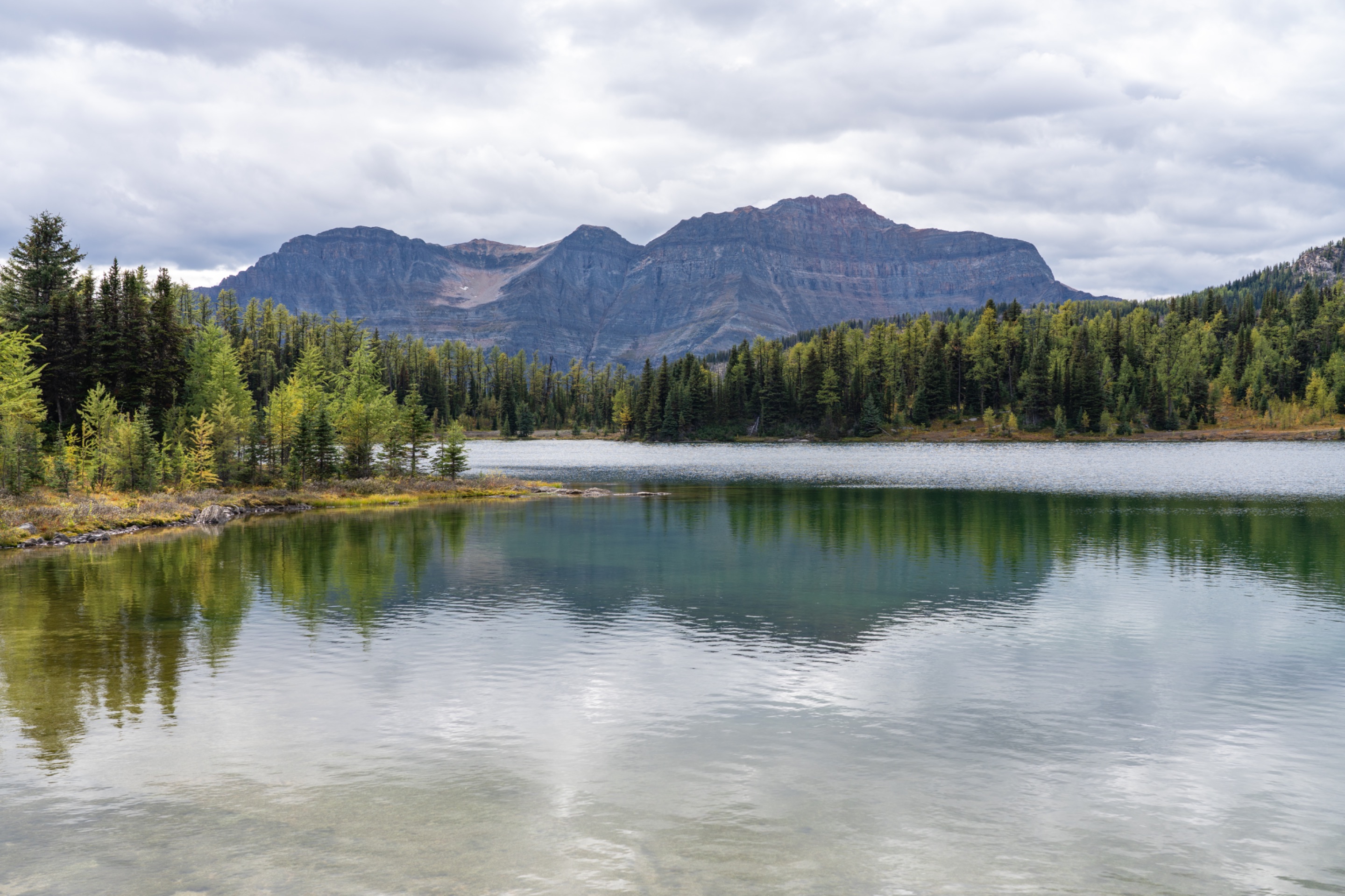 Larix Lake