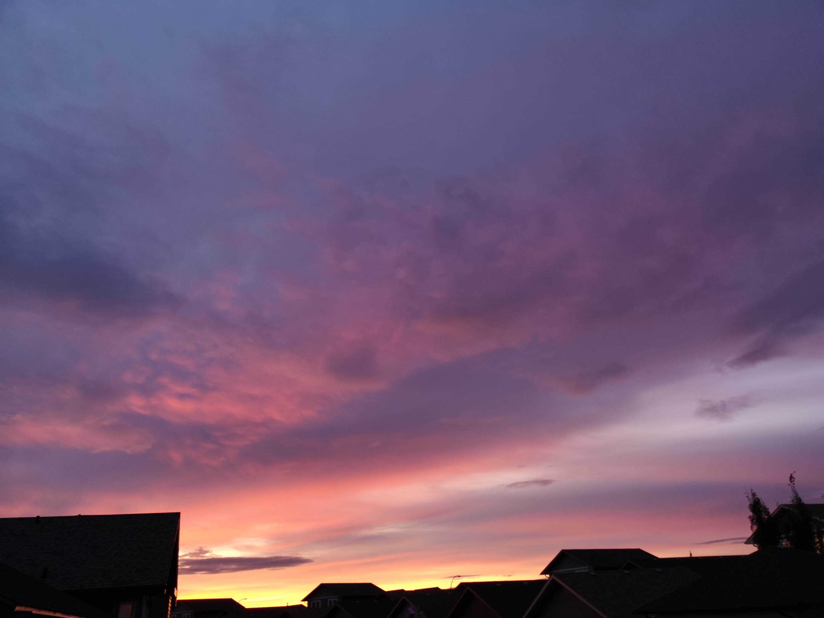 IMG_20191005_184133.jpeg