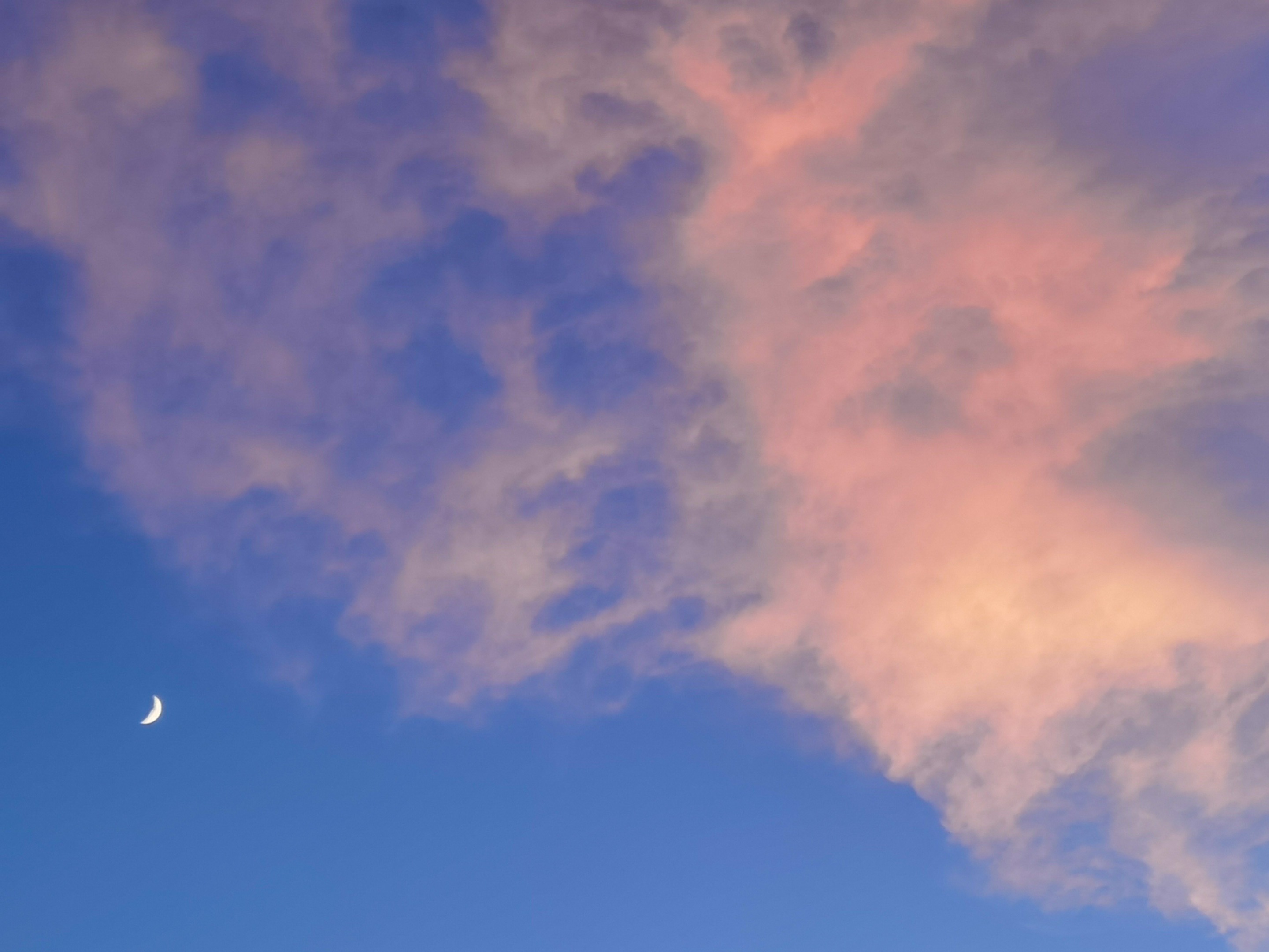 565B6754-FF3B-45FA-975A-687223193734.jpeg