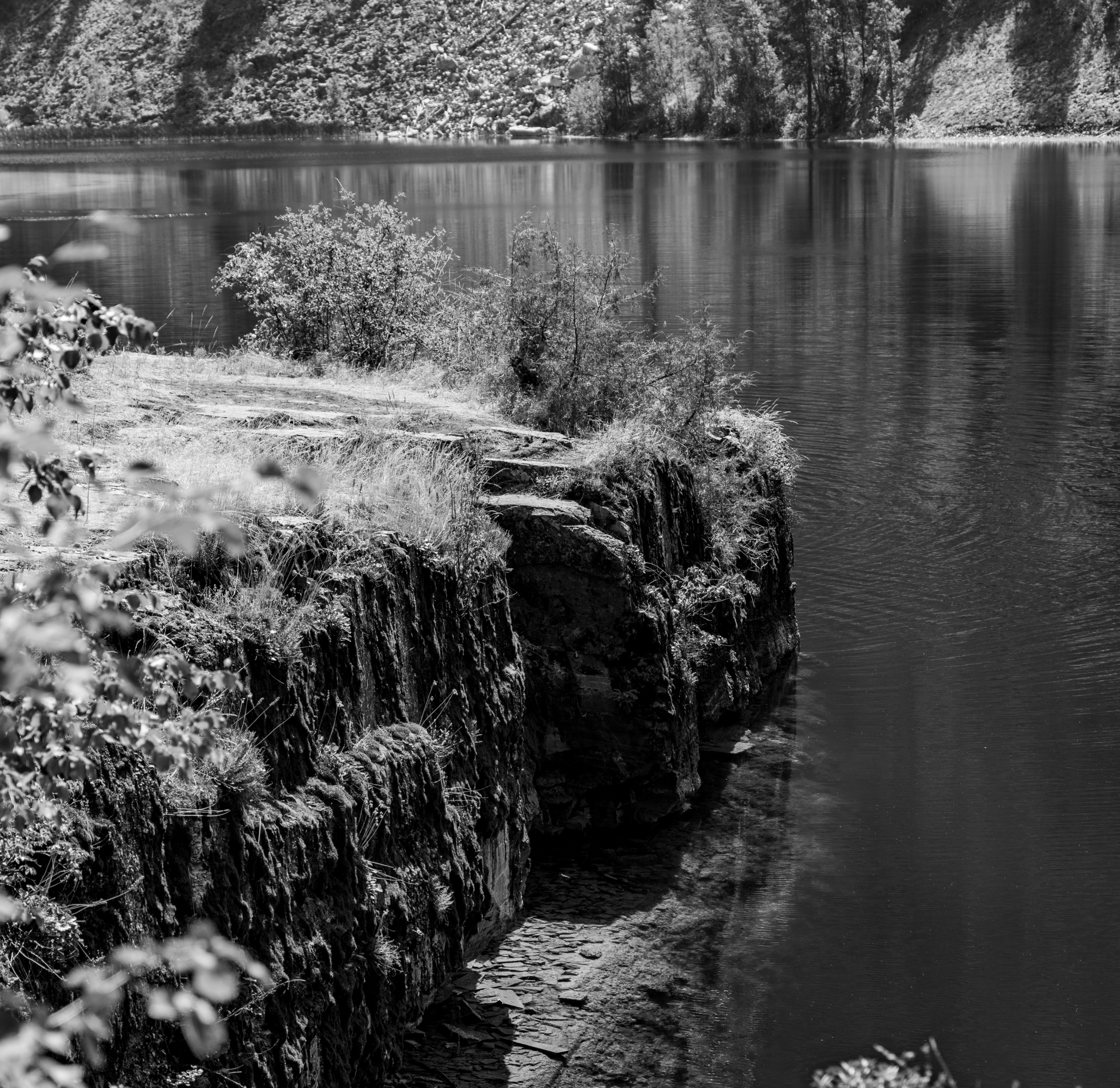 DSC08330.jpeg