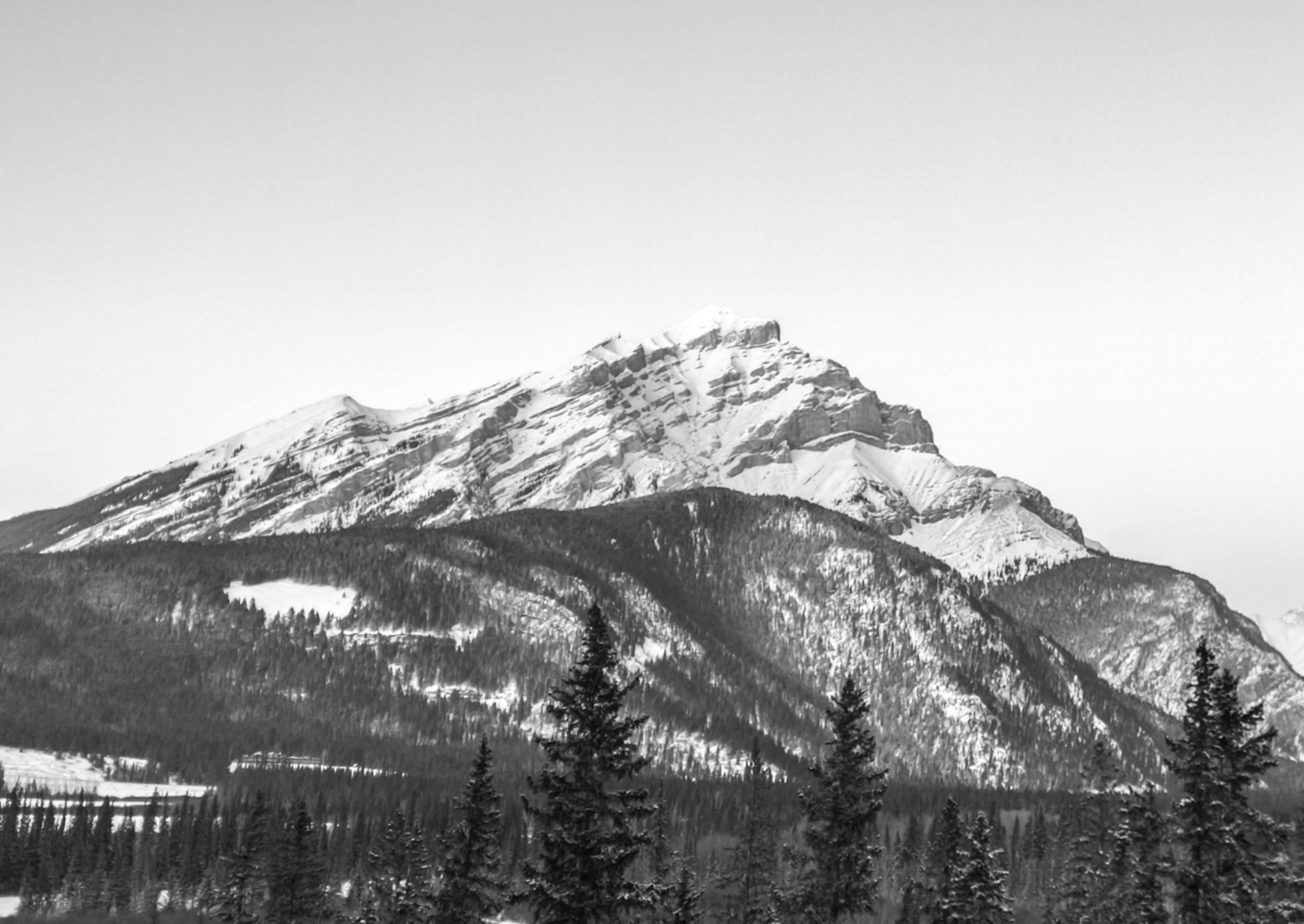 05CF5551EAD5456D87316E07D18A4B51.jpeg