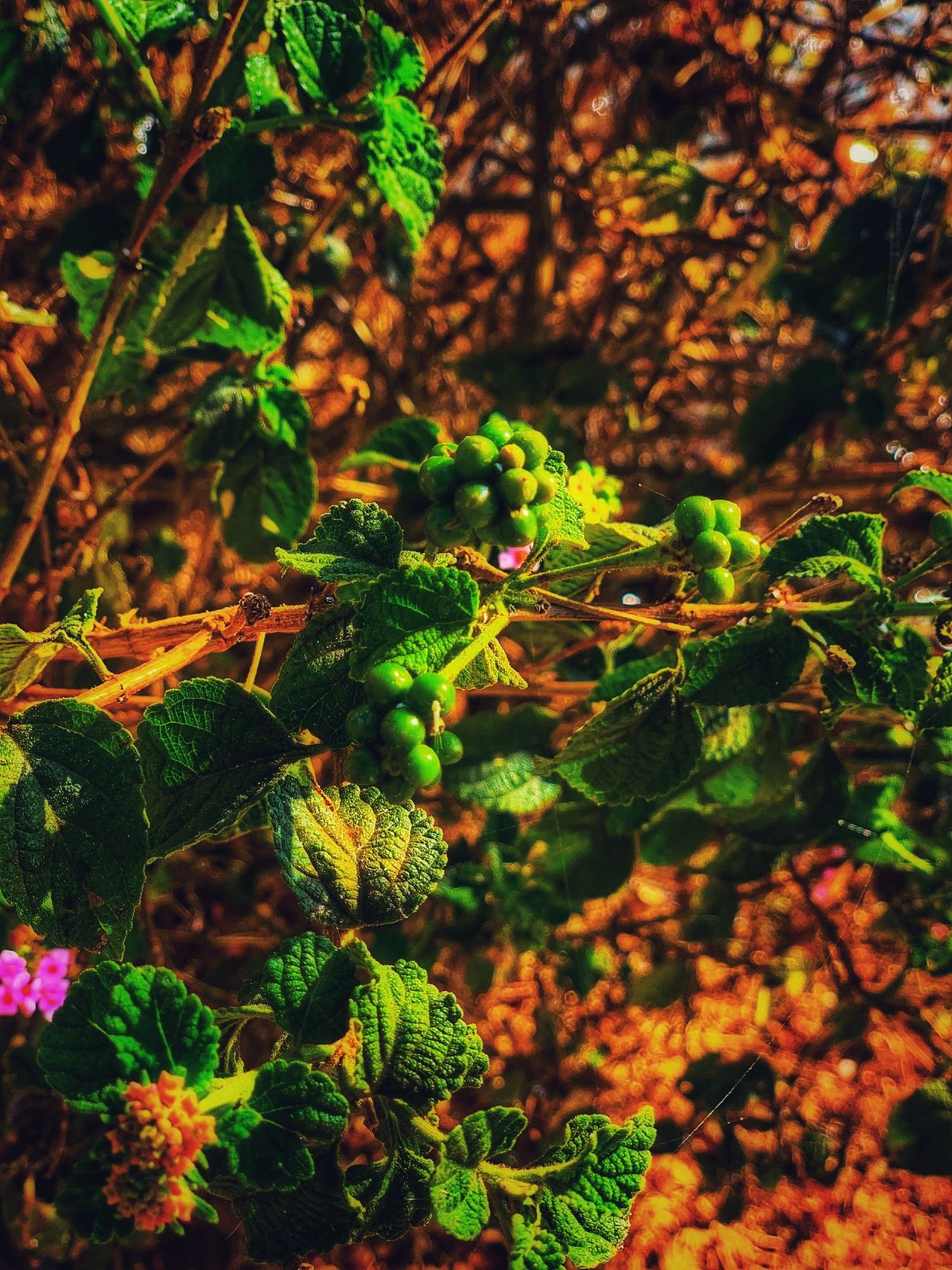 NTy4GV6ooFRmaCXZ8UYgPhoud1kjiNX8QokLEZtbBKLuLWQ9yt7K3o4Eq1zasb1fegfPGEnXMAue3SouM2sKuvDTAegA3ScmdRRp3qEBLGqSH8JvvNXWyL3ksYkeWhQvn2YjWjZxr6cm9mt9v6eKyXjW4wrN8S9UJcDYU3vv-01.jpeg