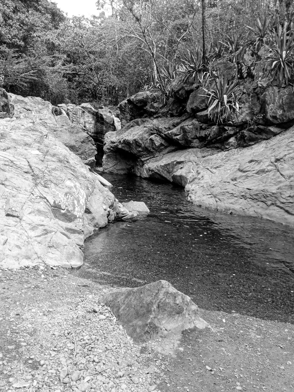 IMG_20250305_125812_313 (1).jpg