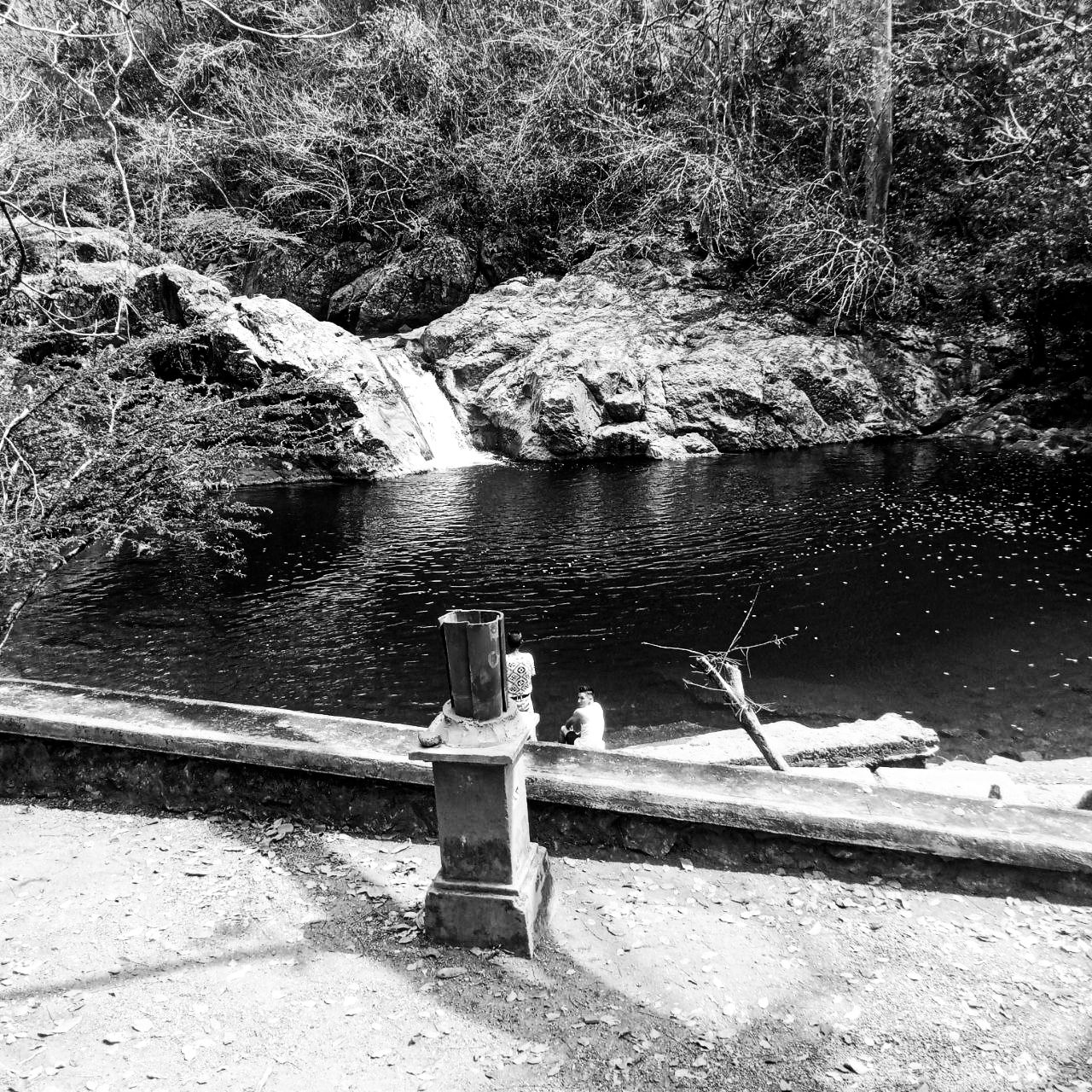 IMG_20250305_125819_787 (1).jpg