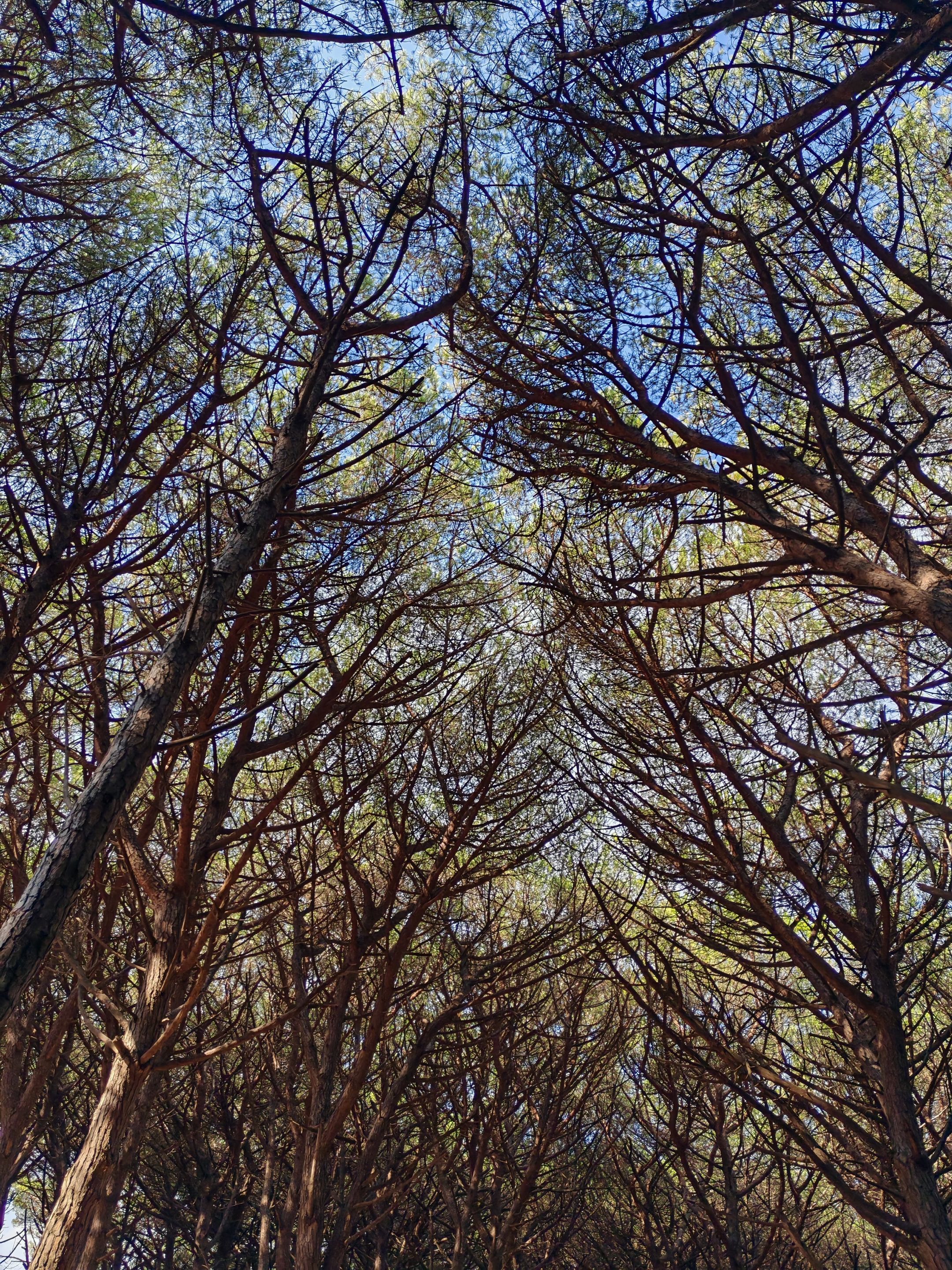 1000024627.jpg