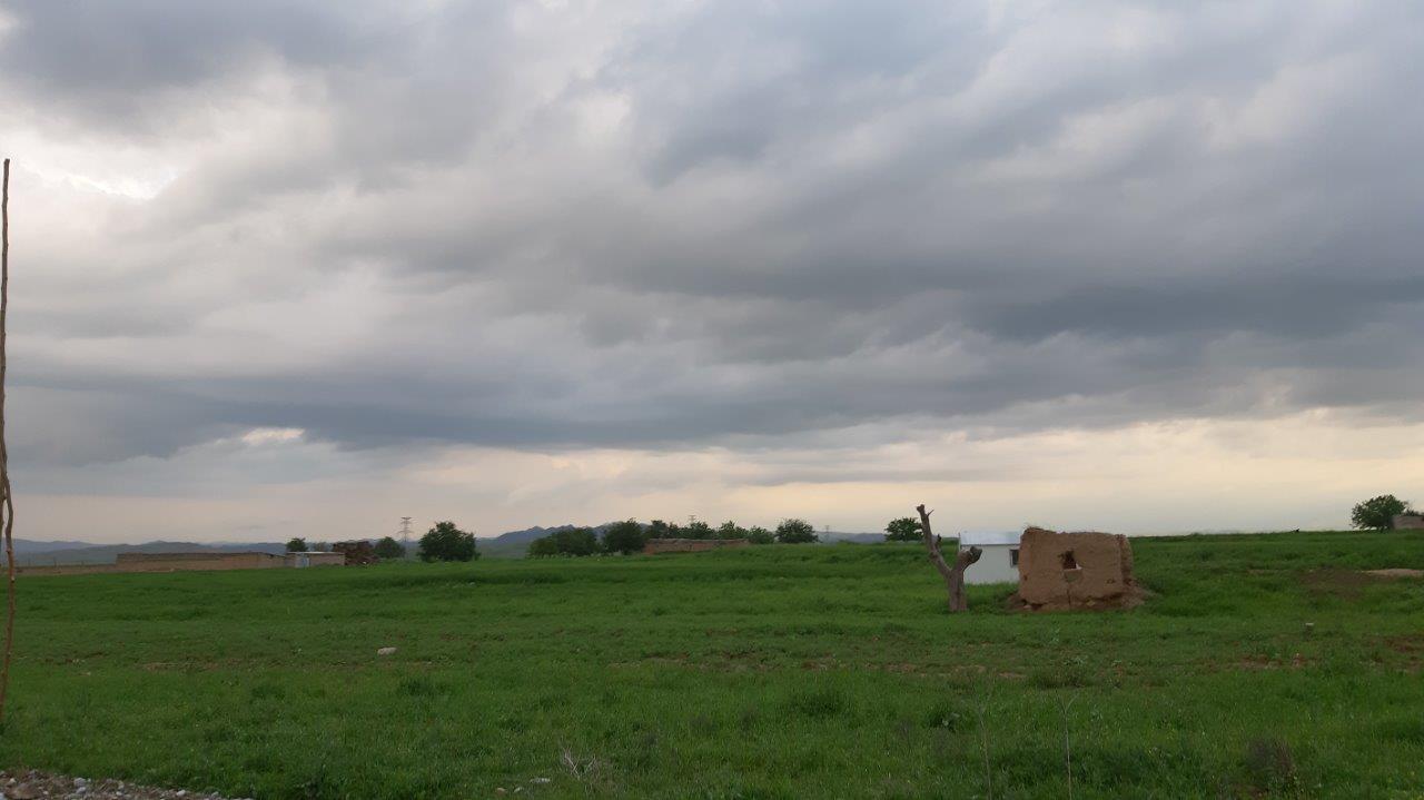 20200429_184042.jpg