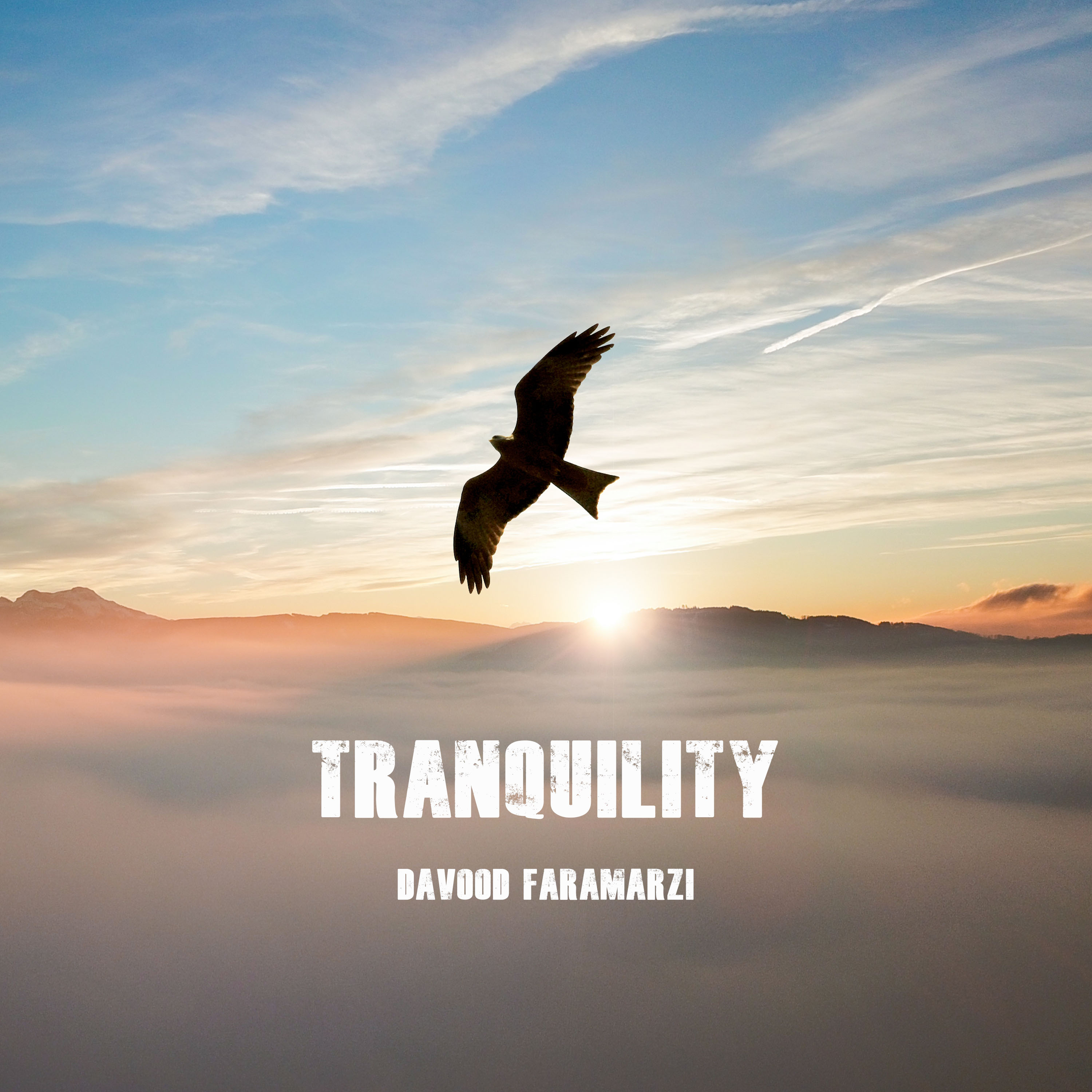 Tranquility.jpg