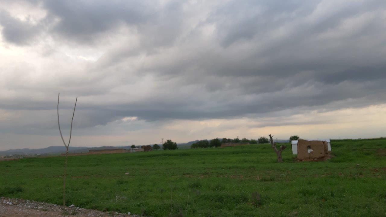 20200429_184039.jpg