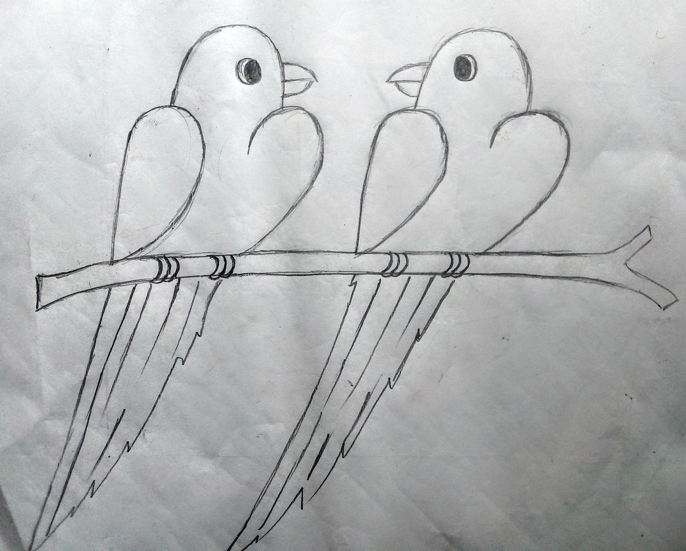 Online Drawing Birds in Pen and Graphite — Cloud 9