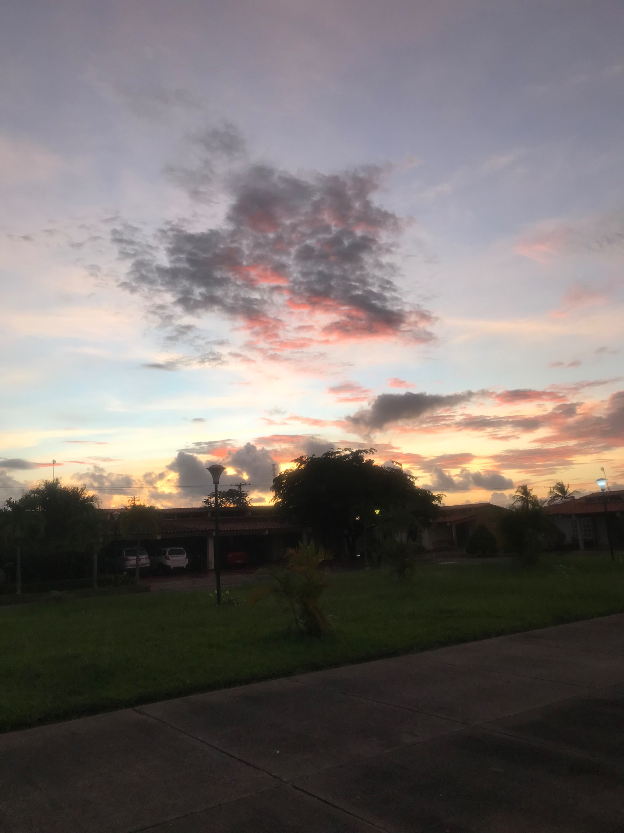 43085457-790D-47E3-A559-85F16A8133AC.jpeg