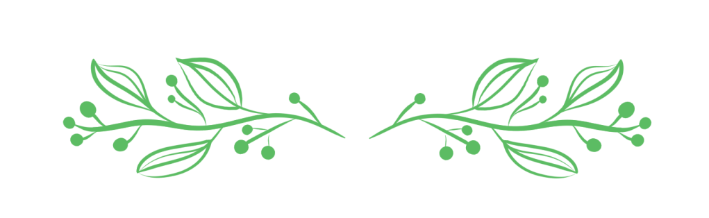Leaves-Divider-PNG-Images.png