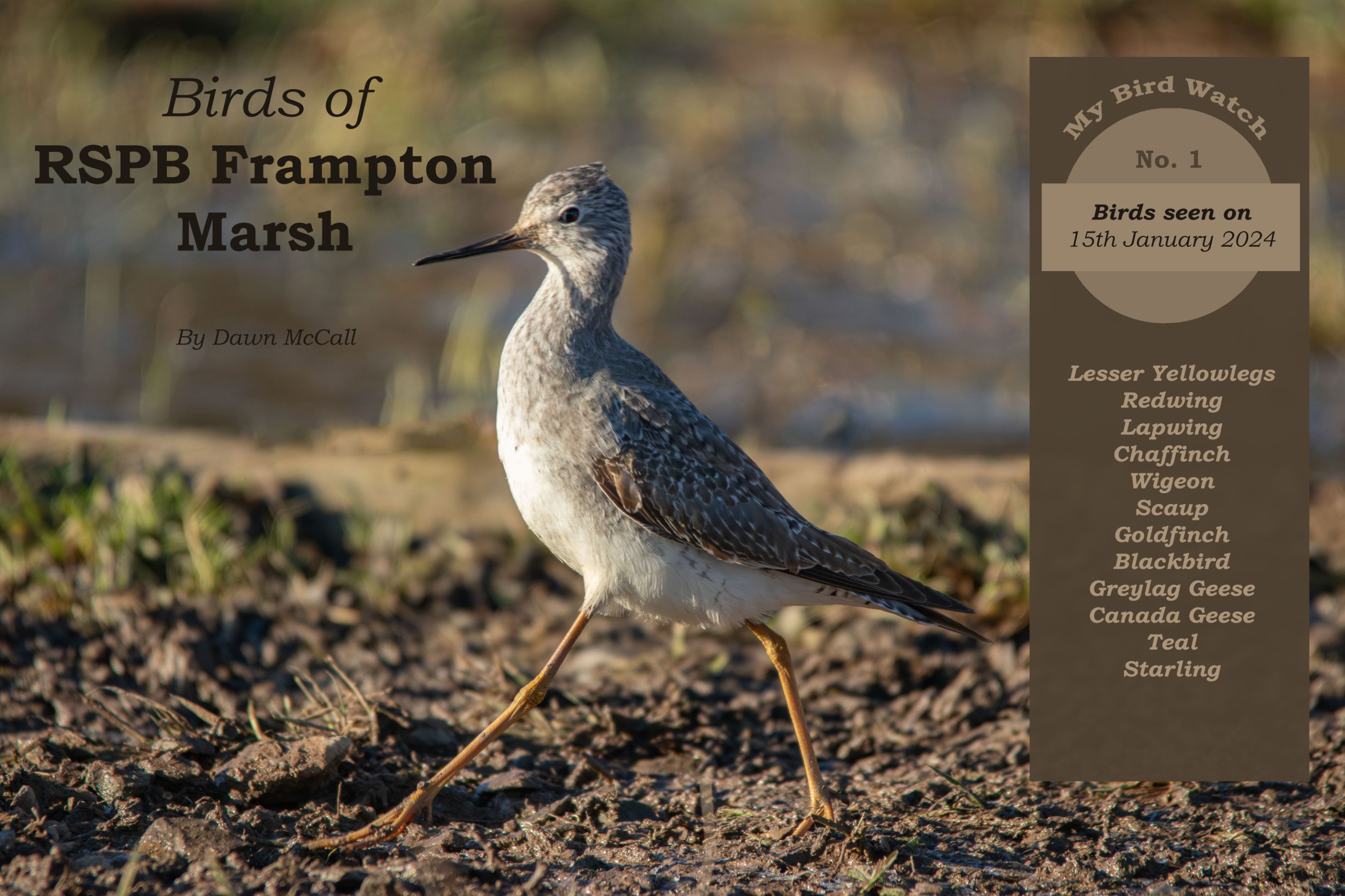 15th January 2024_ My Bird Watch _Frampton Marsh _ 01.jpg