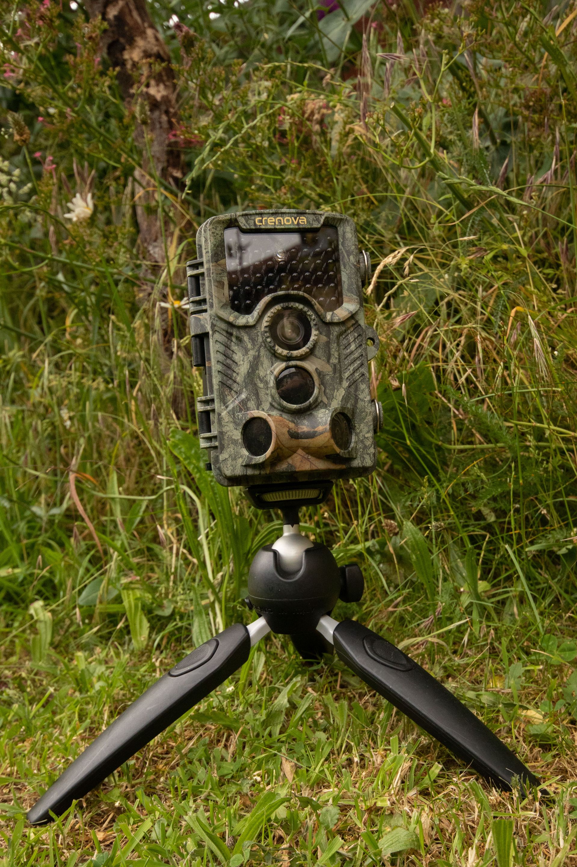 Trail Camera.jpeg
