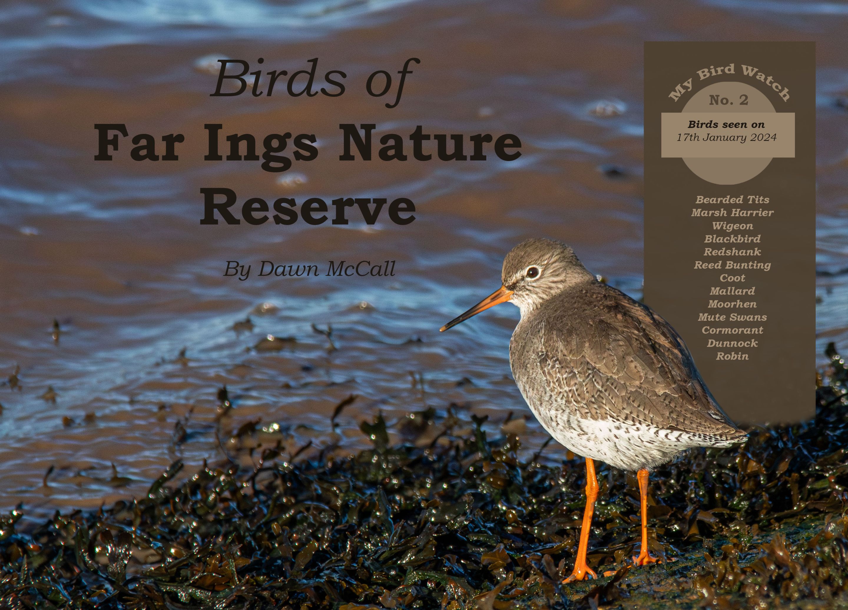 17th January 2024_ My Bird Watch _Far Ings.jpg