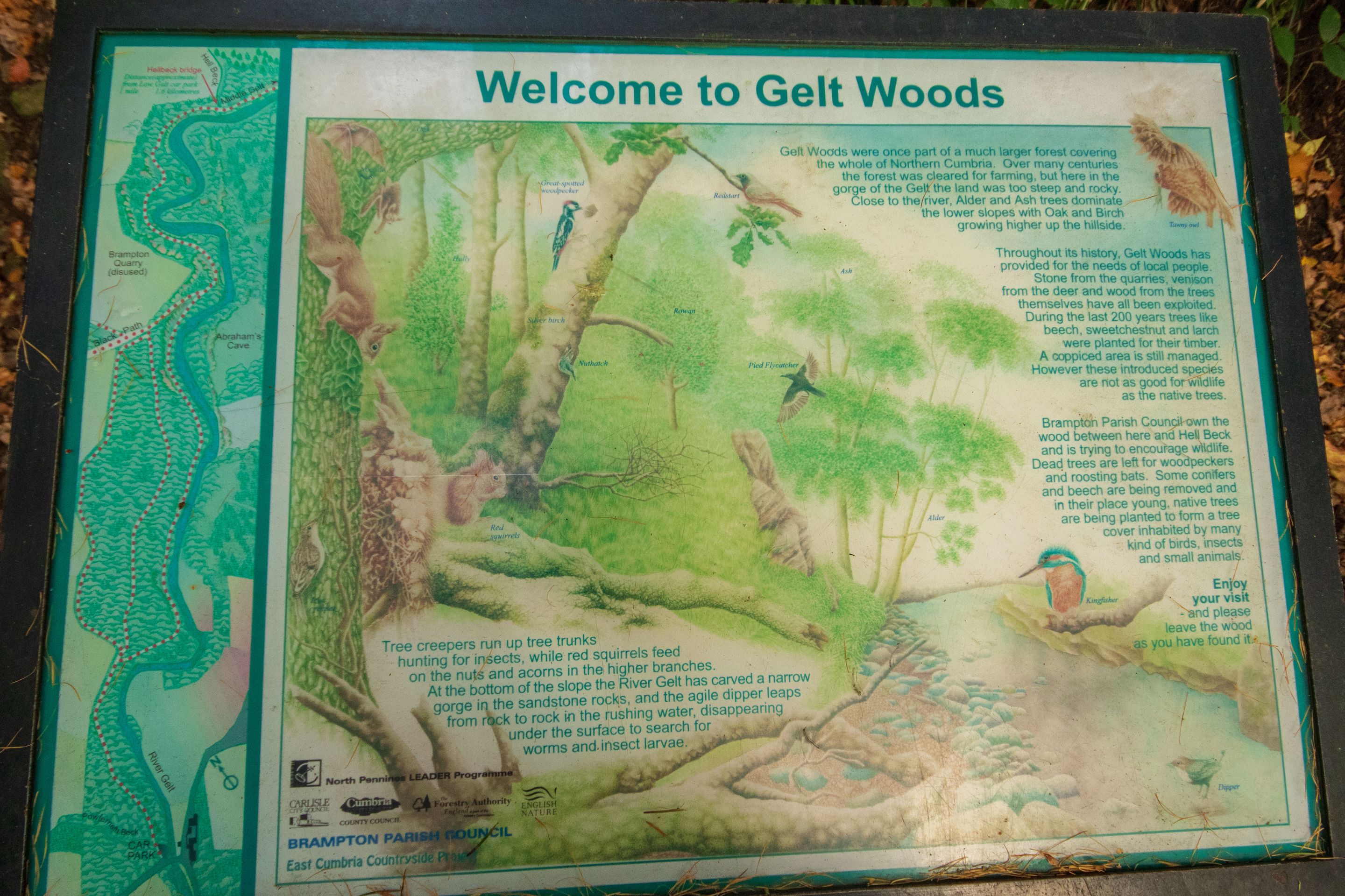 28th October 2022 _Sign _Gelt Wood  _01.jpeg