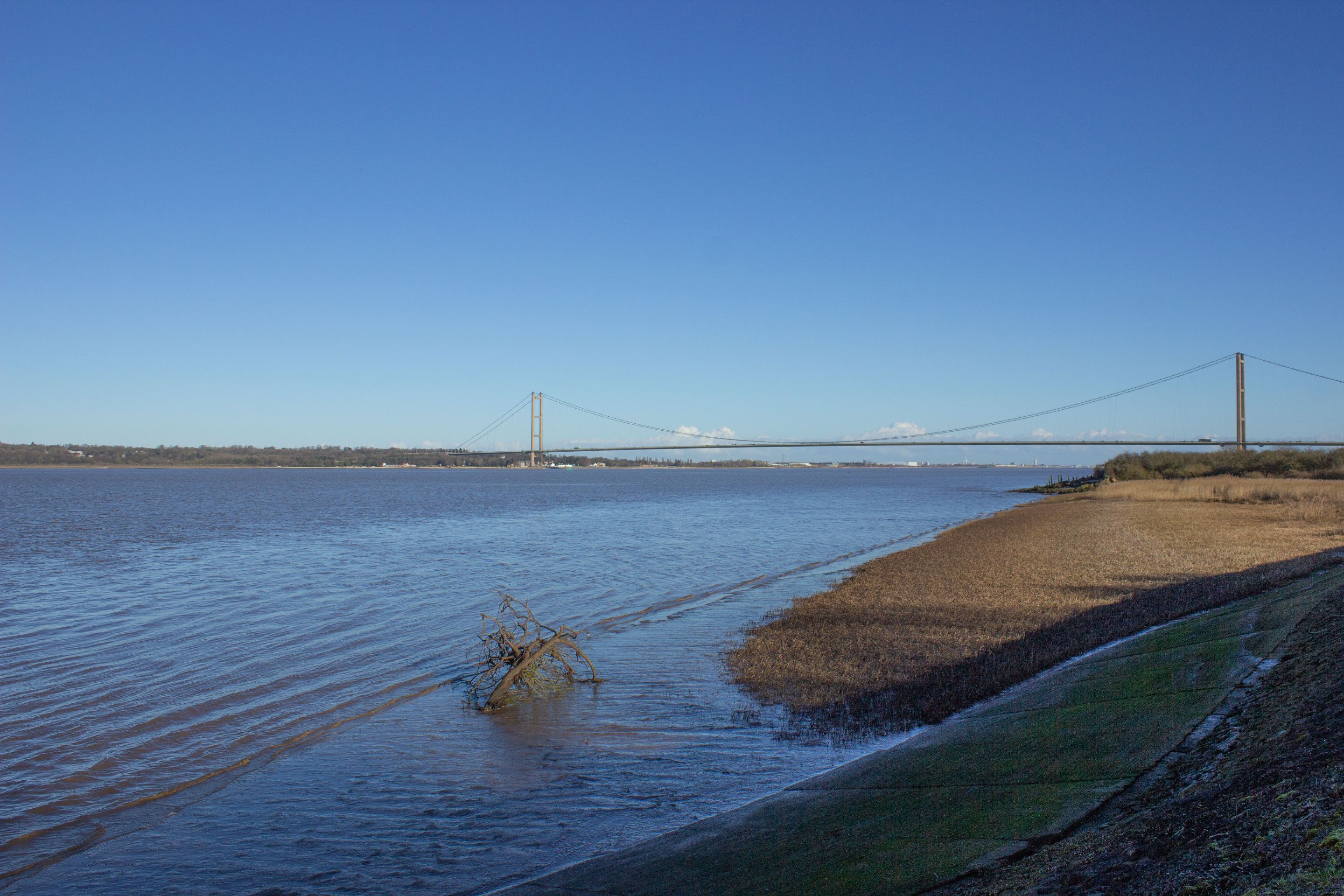 17th January 2024_ Humber Bridge _Far Ings _01.jpg