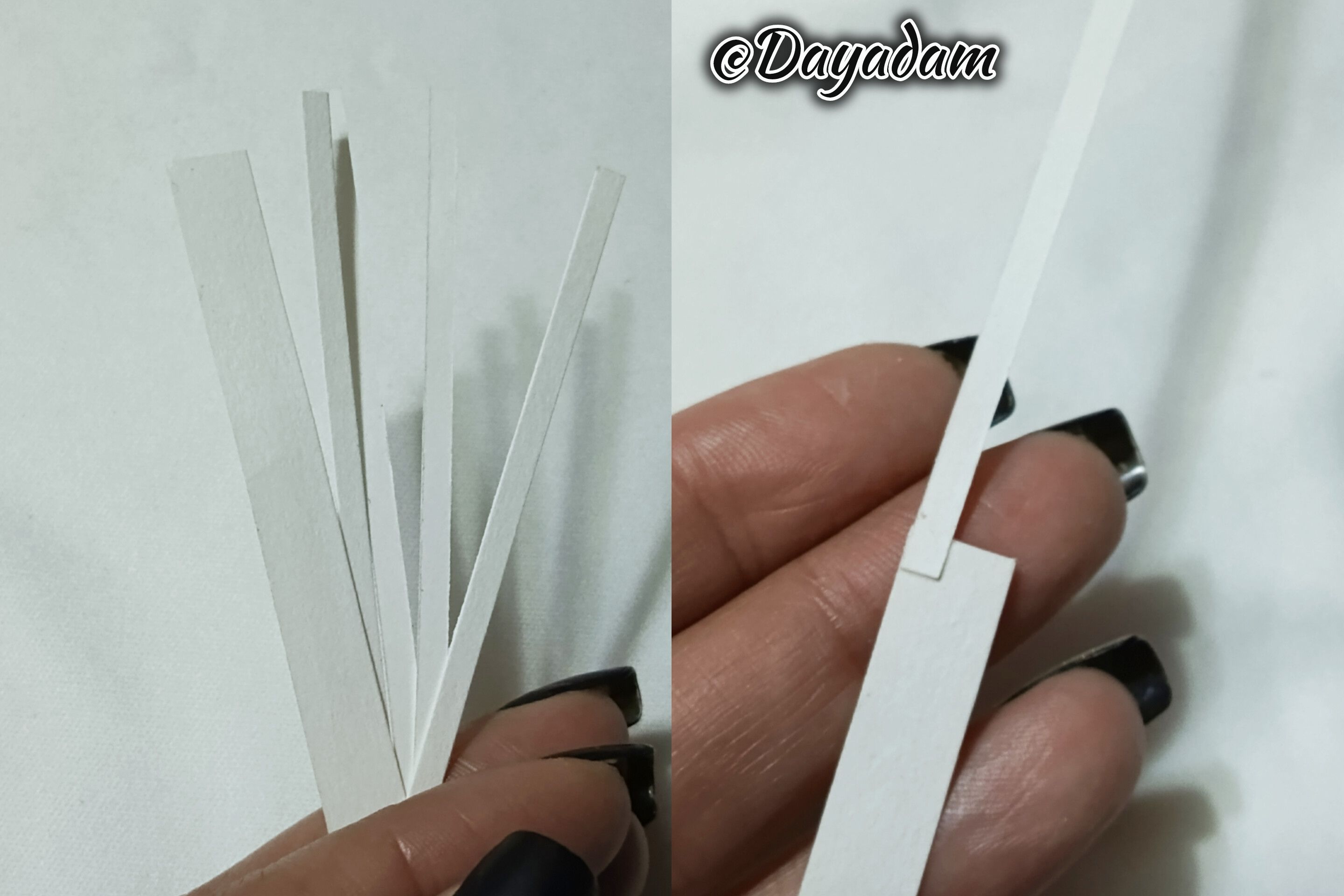 1000030760.jpg