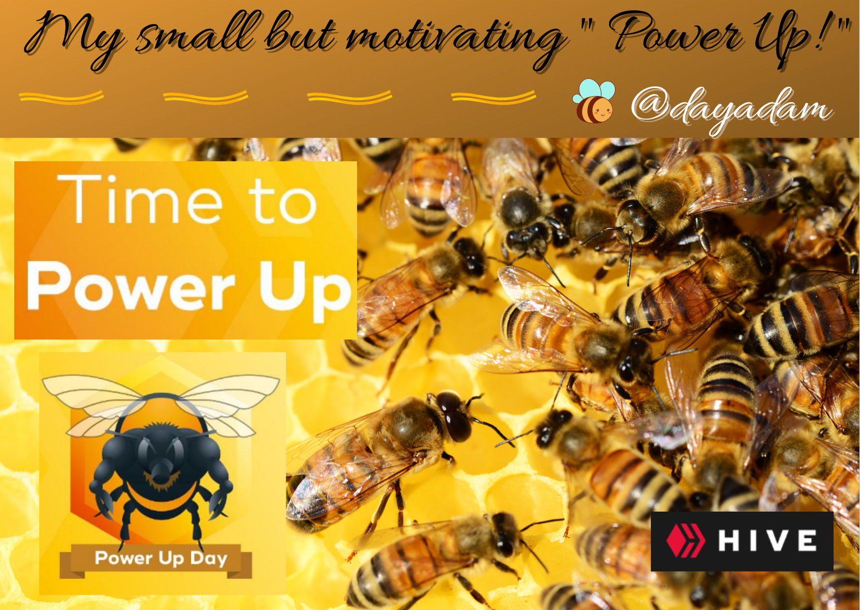 My third power up. A small contribution and steady growth. (1).png