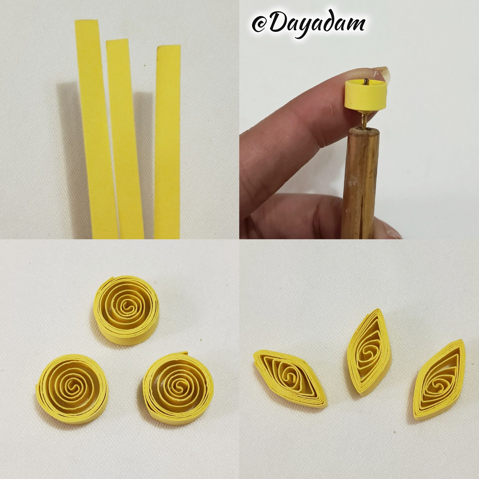 1000046492.jpg