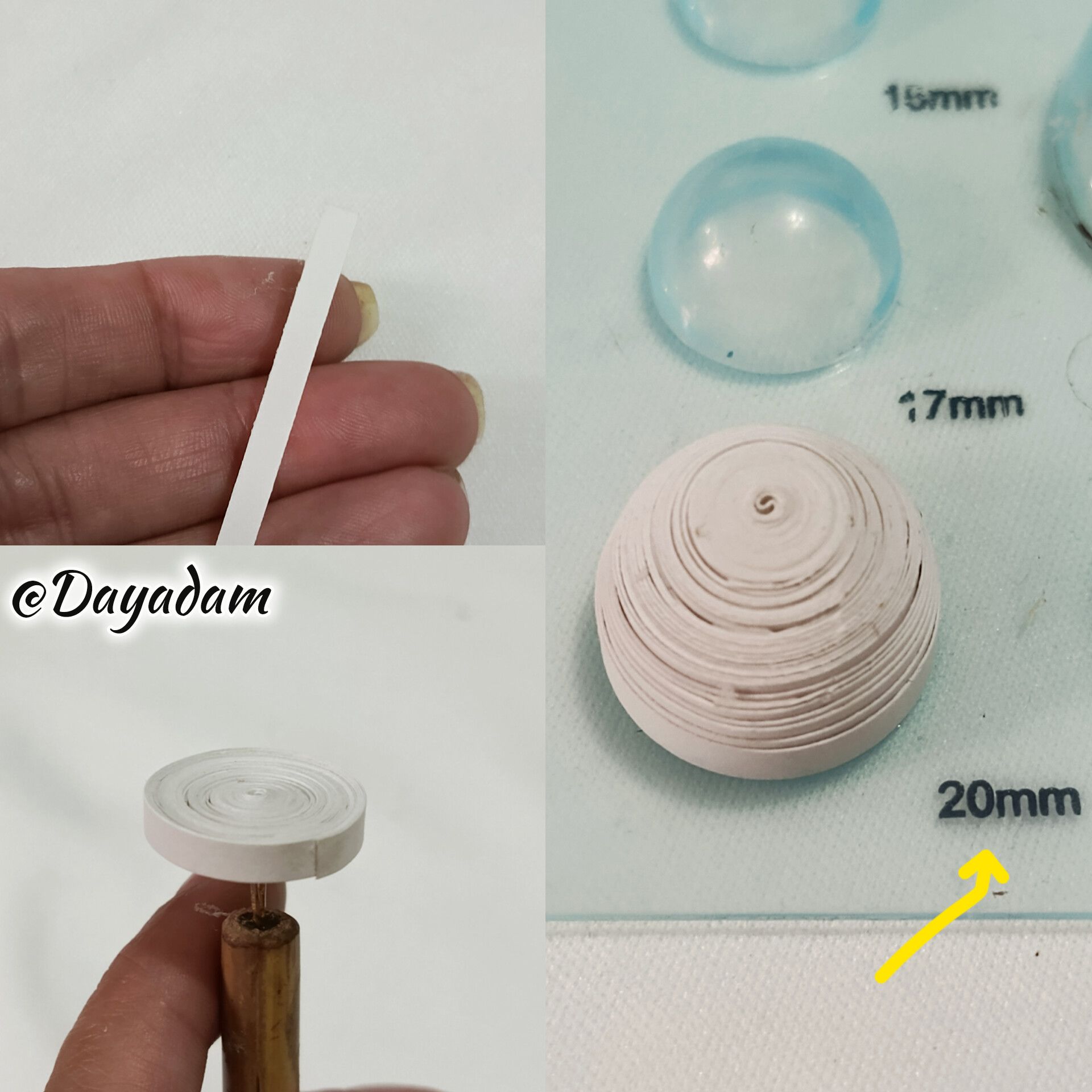 1000046490.jpg