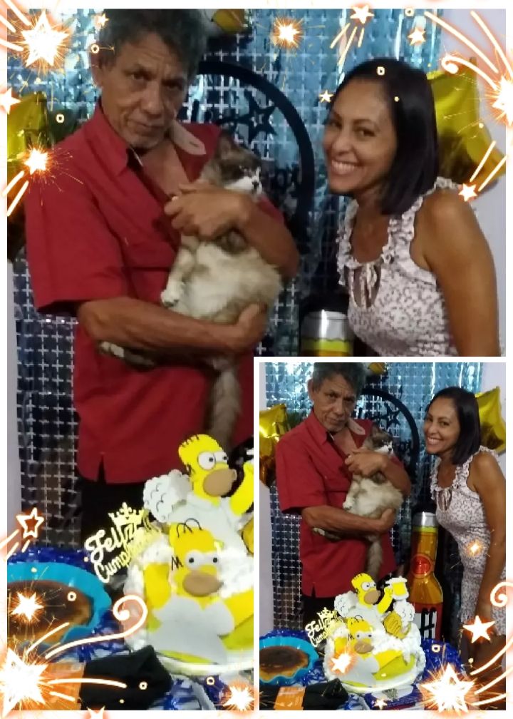 photocollage_202241320270284.jpg