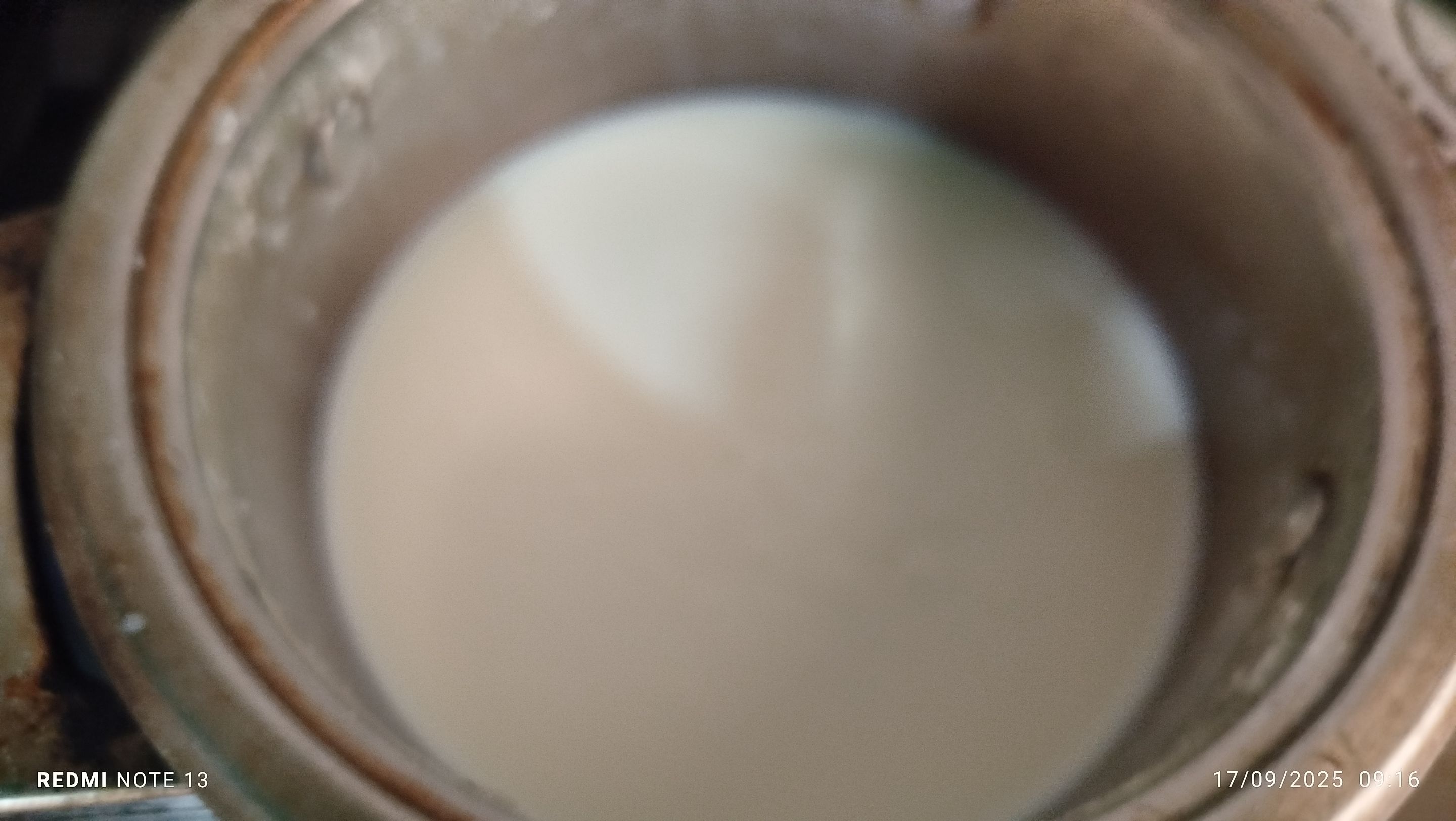 1000305186.jpg