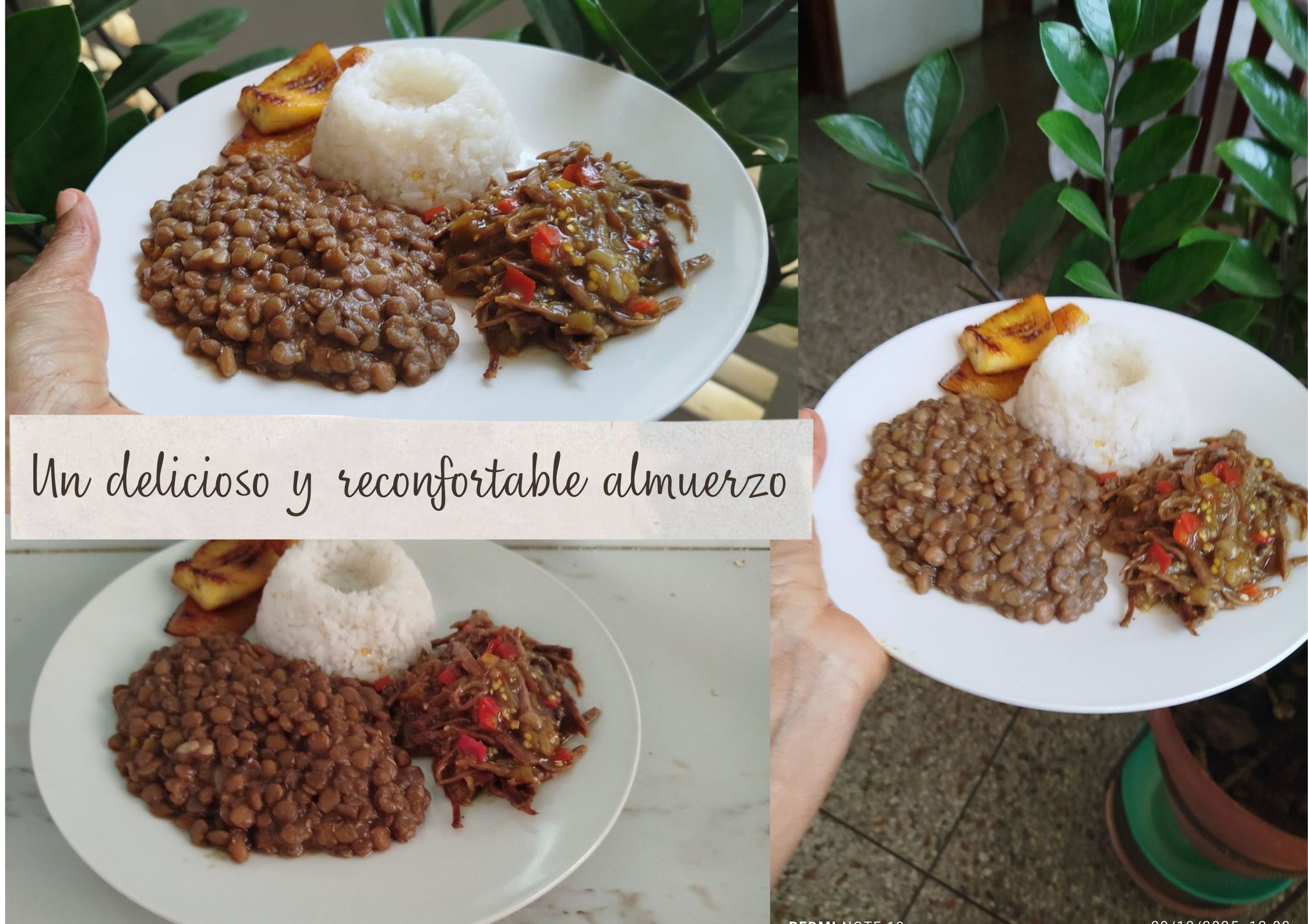 Pollo al horno con vino, cebolla y champiñones.jpg