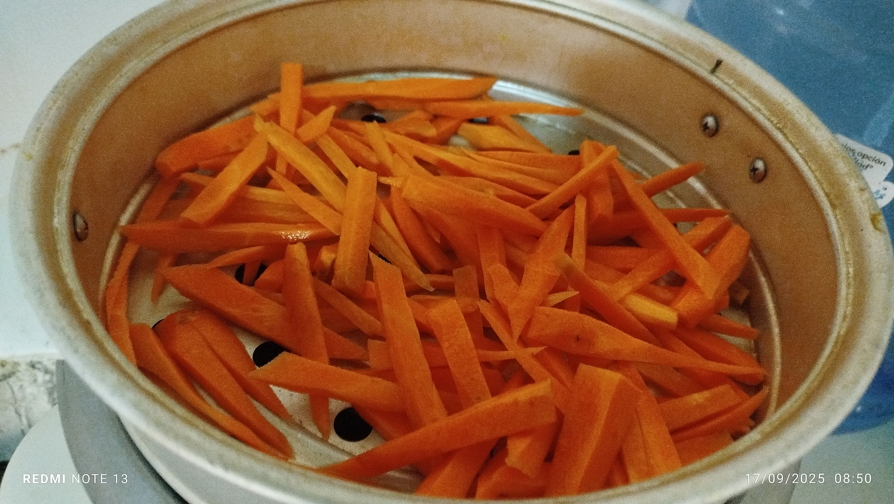 1000305169.jpg