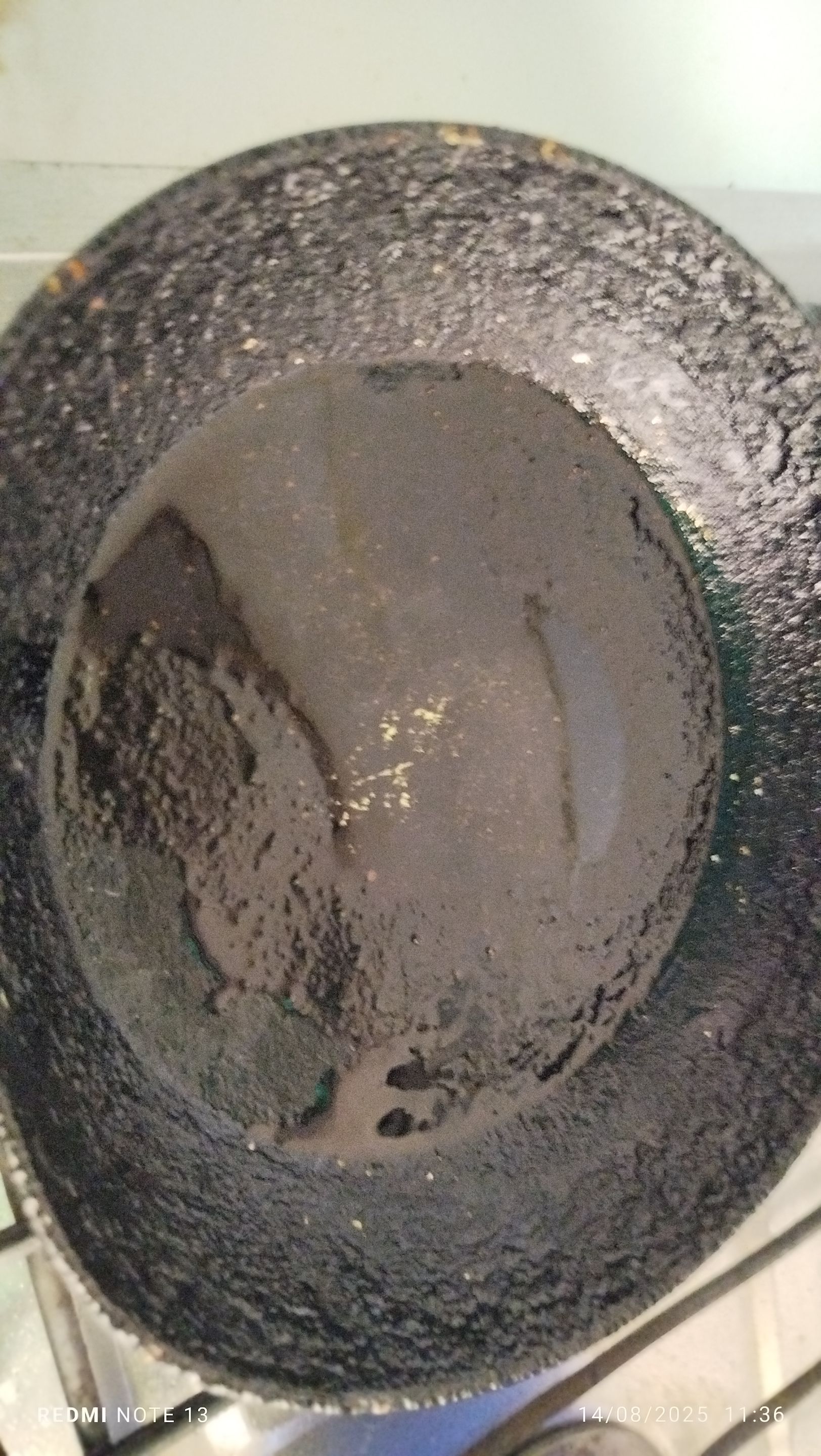 1000273742.jpg