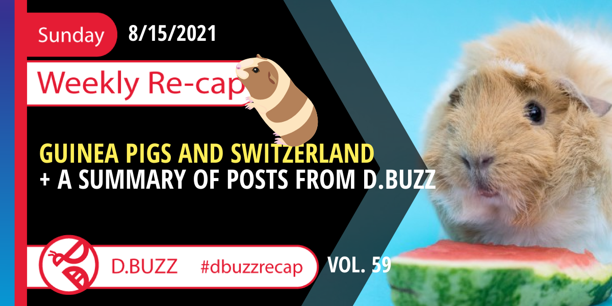 sunday_swiss.png