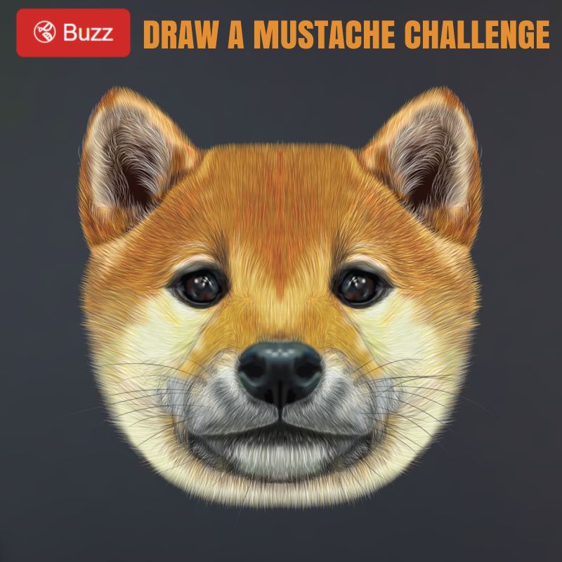 mustachDog.jpeg