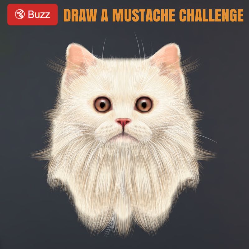mustachcat.jpeg