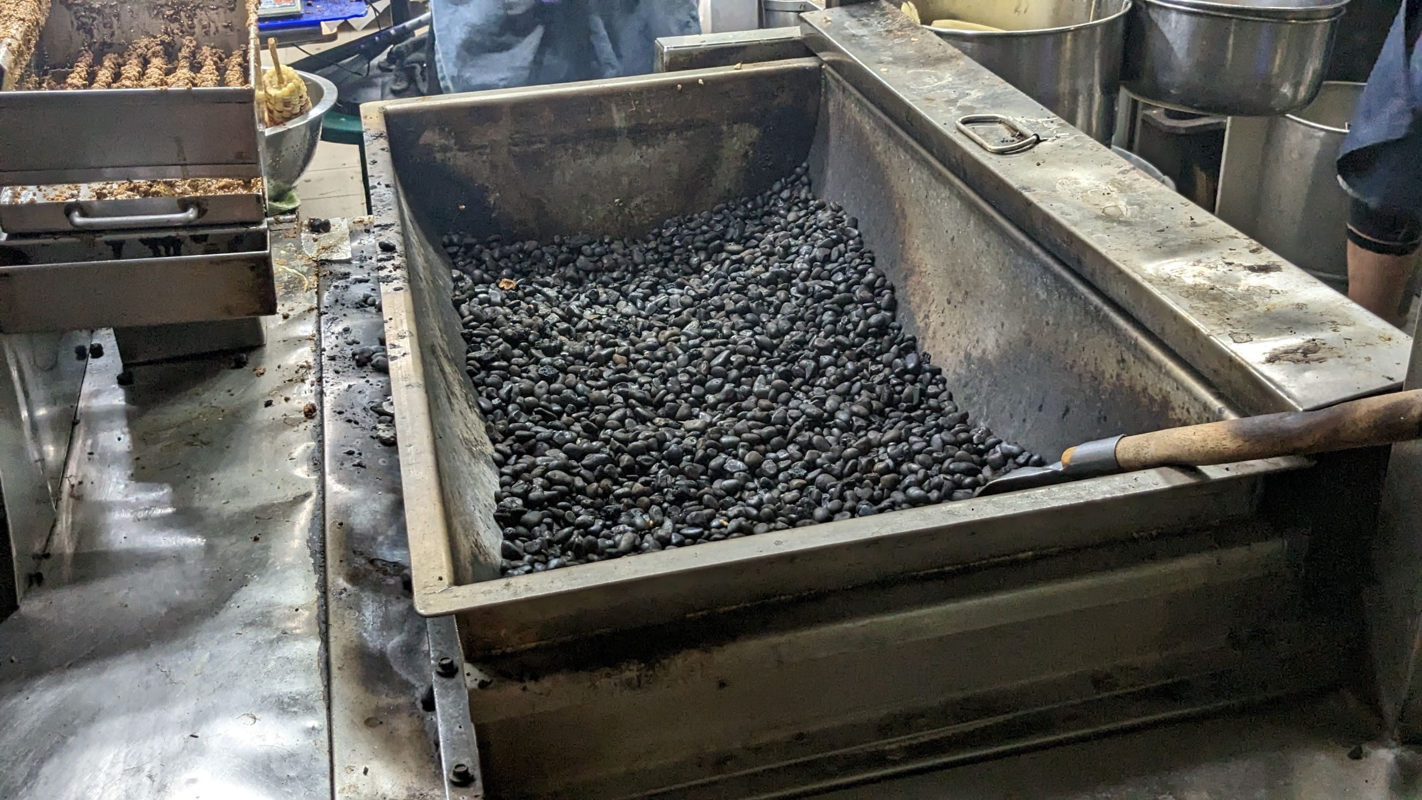 PXL_20230604_113508432.jpg