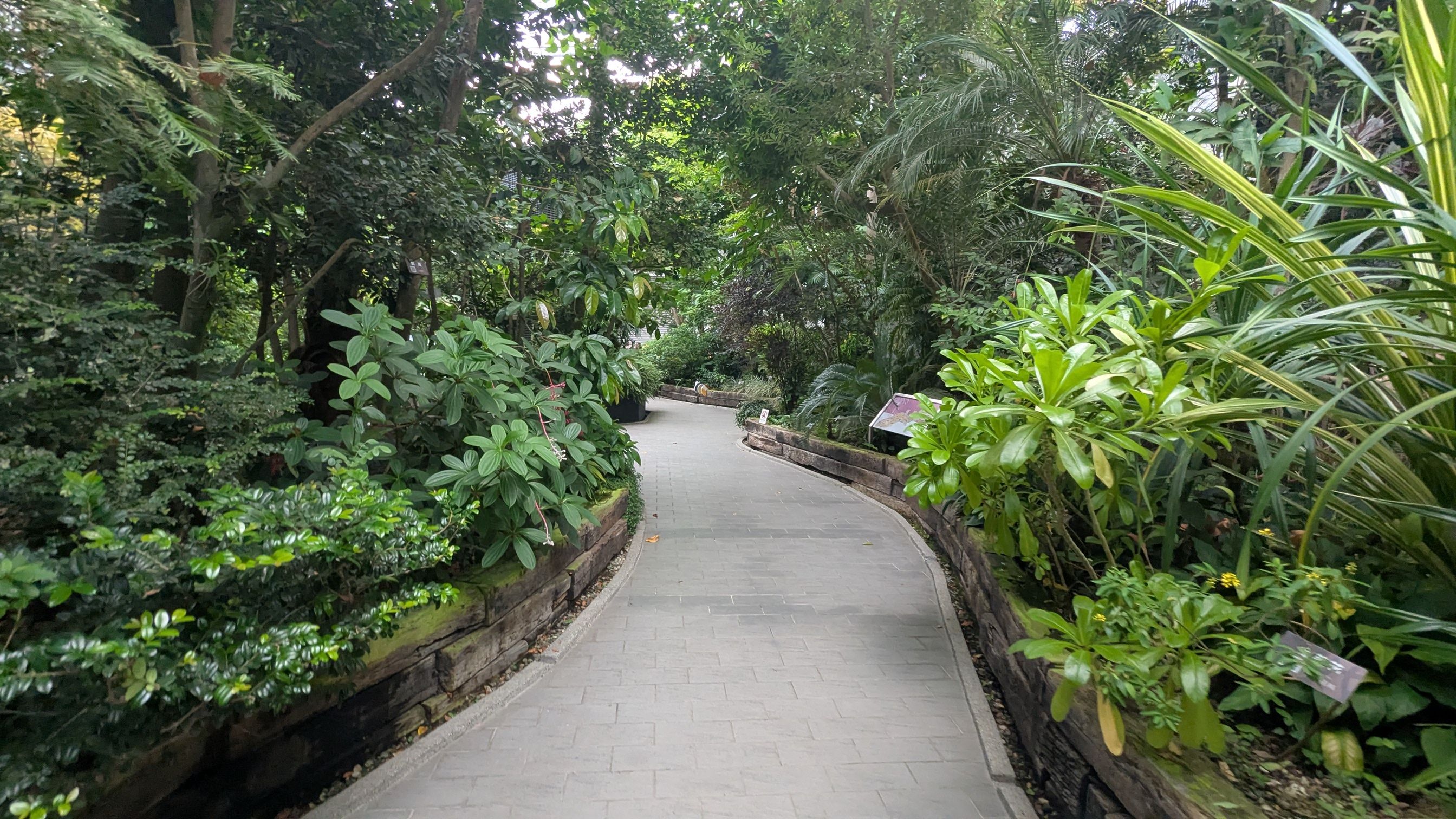 1000026770.jpg