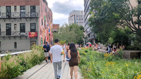 videotogif_2023.09.28_16.17.09.gif